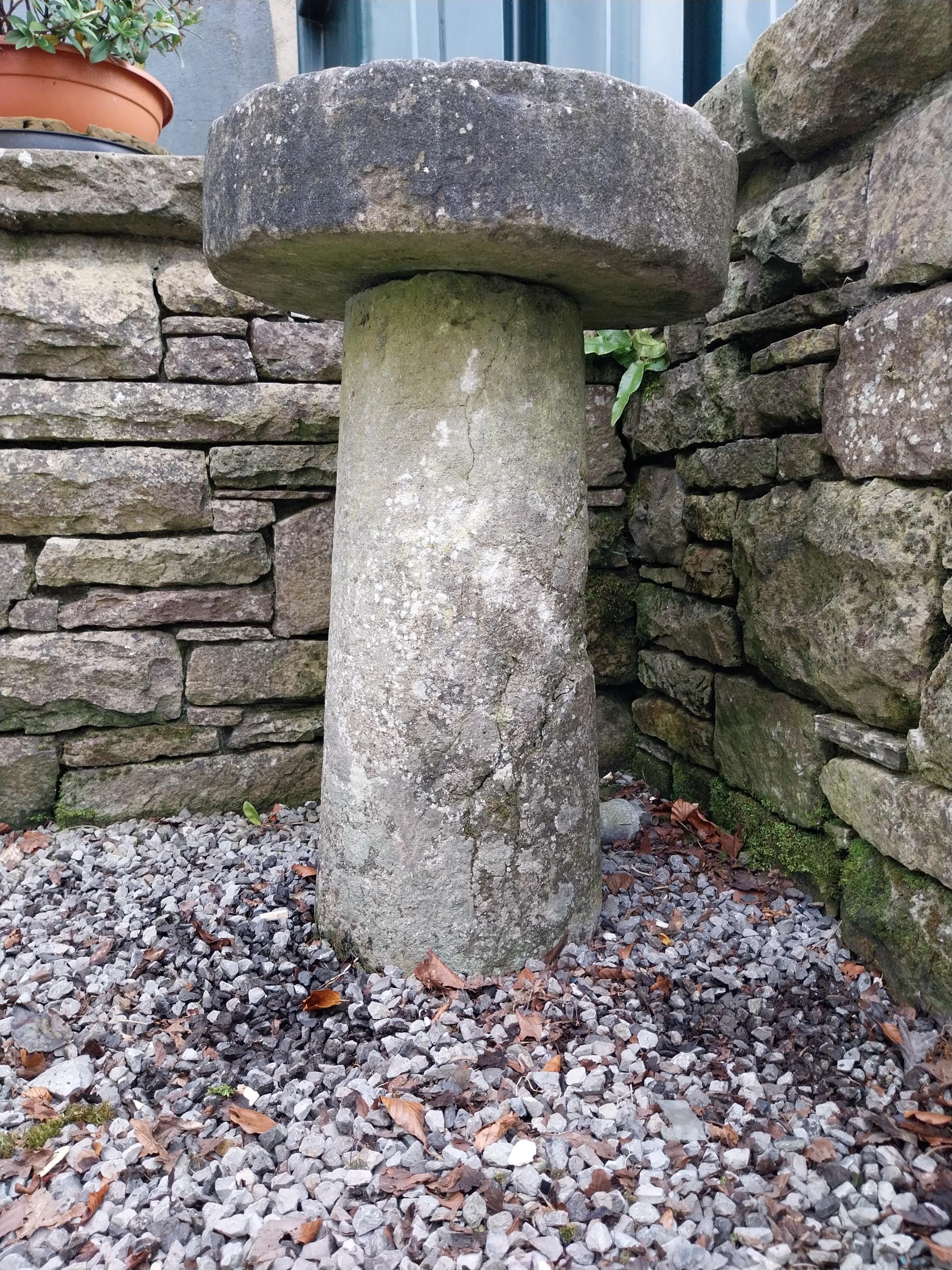 19th C. sandstone staddle stone {77 cm H x 50 cm Dia.}. - Image 4 of 5