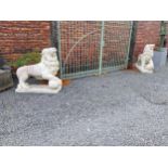 Pair of good quality composition statues of Lions with ball at foot mounted on plinths {110 cm H x