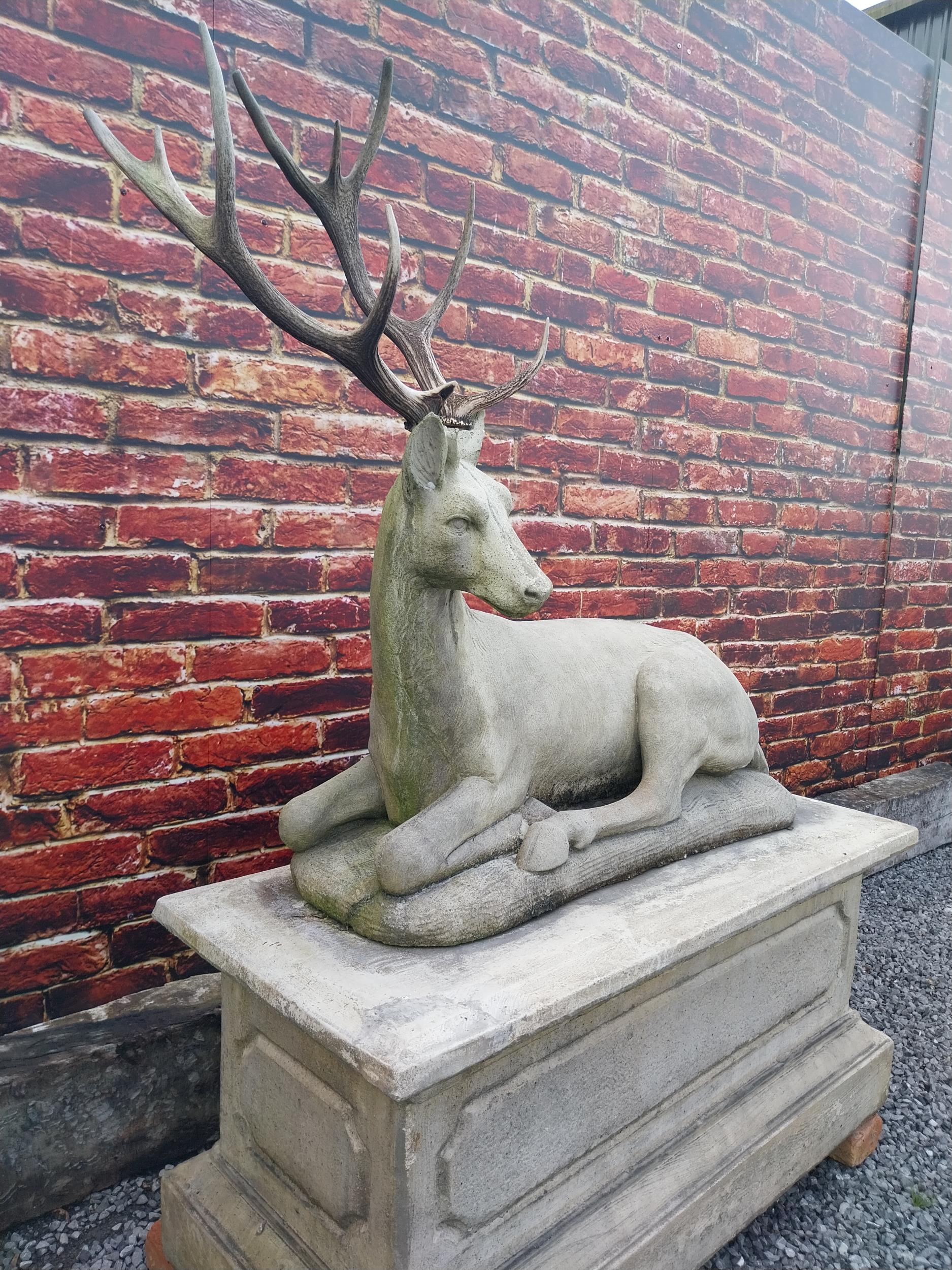 Good quality moulded stone statue of a Stag with real antlers raised on pedestal base {160 cm H x - Image 3 of 9