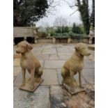 Pair of composition stone statues of Dogs {H 60cm x W 28cm x D 40cm }. (NOT AVAILABLE TO VIEW IN