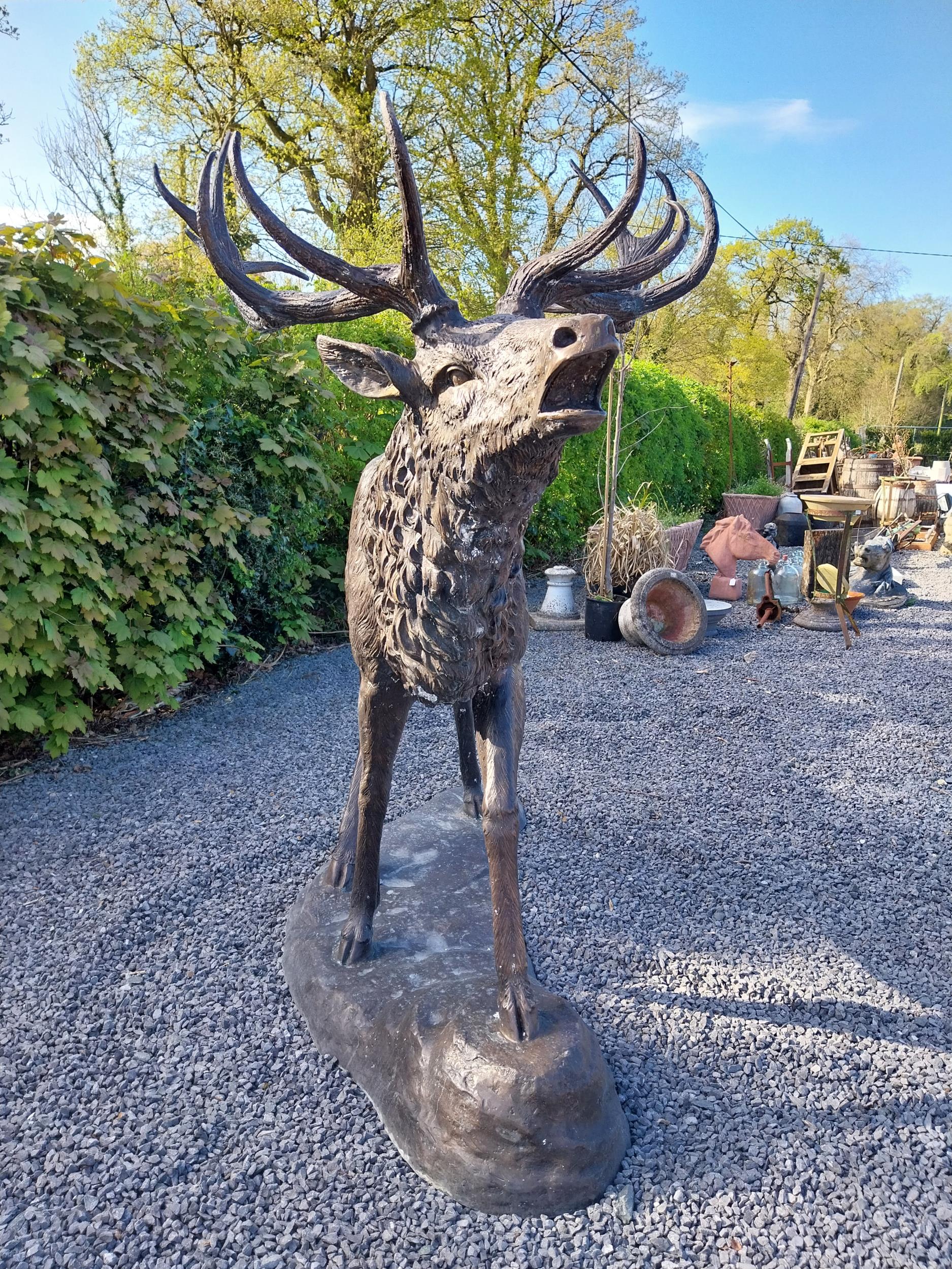 Exceptional quality bronze statue of a bellowing Stag {170 cm H x - Image 2 of 8