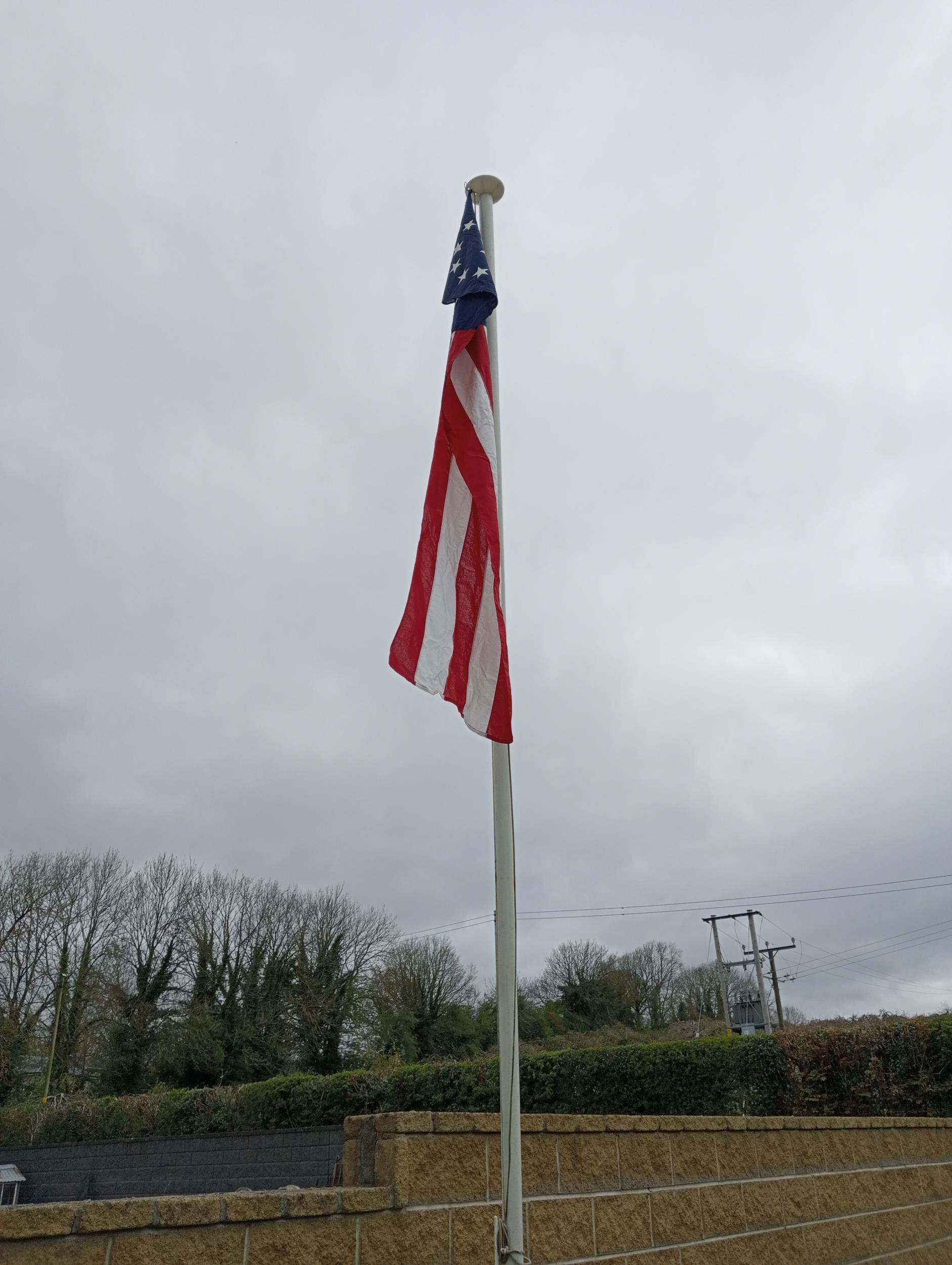 Flagpole with confederate flag {6 metres}. (NOT AVAILABLE TO VIEW IN PERSON) - Image 4 of 4