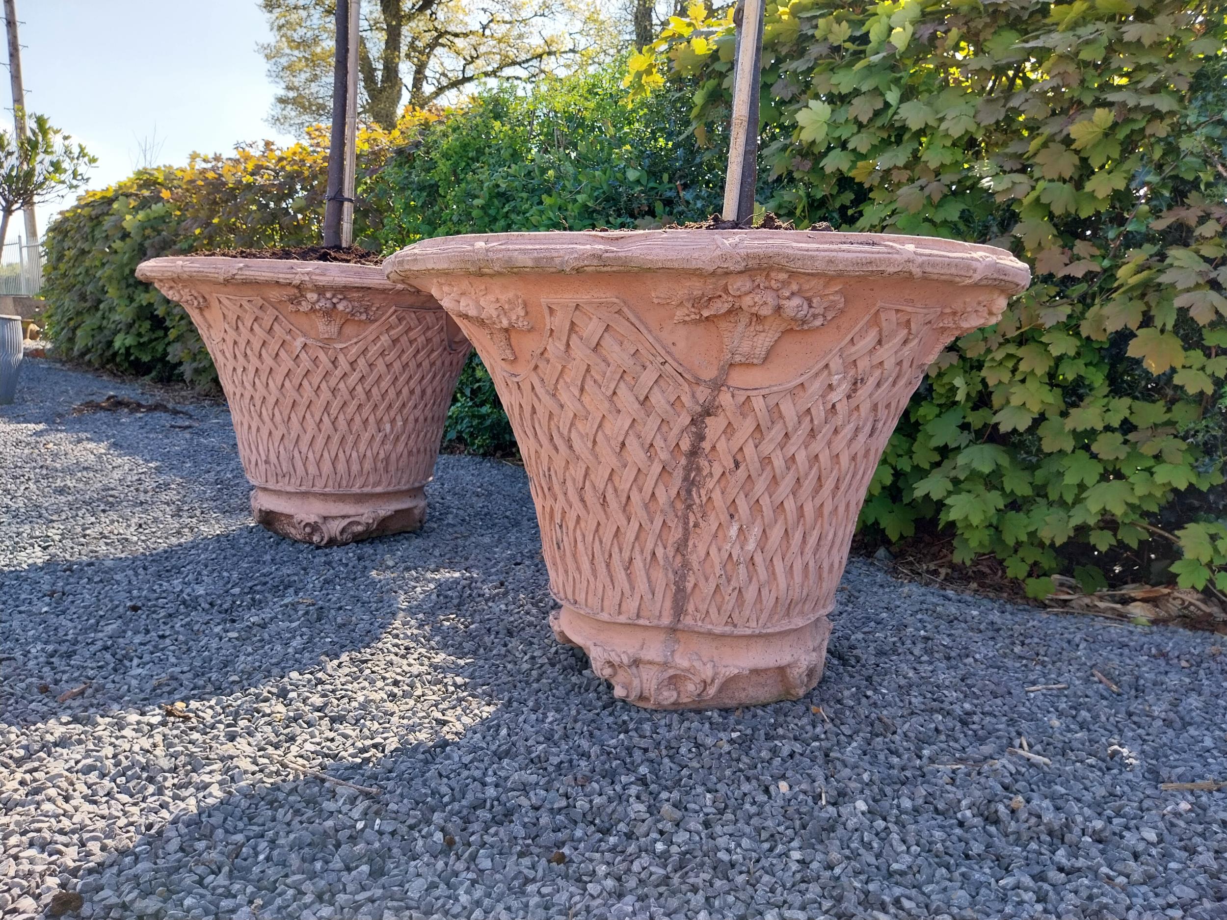 Pair of moulded terracotta lattice urns with tree {Urn dimension 77 cm H x 105 cm Dia.}. - Image 3 of 5