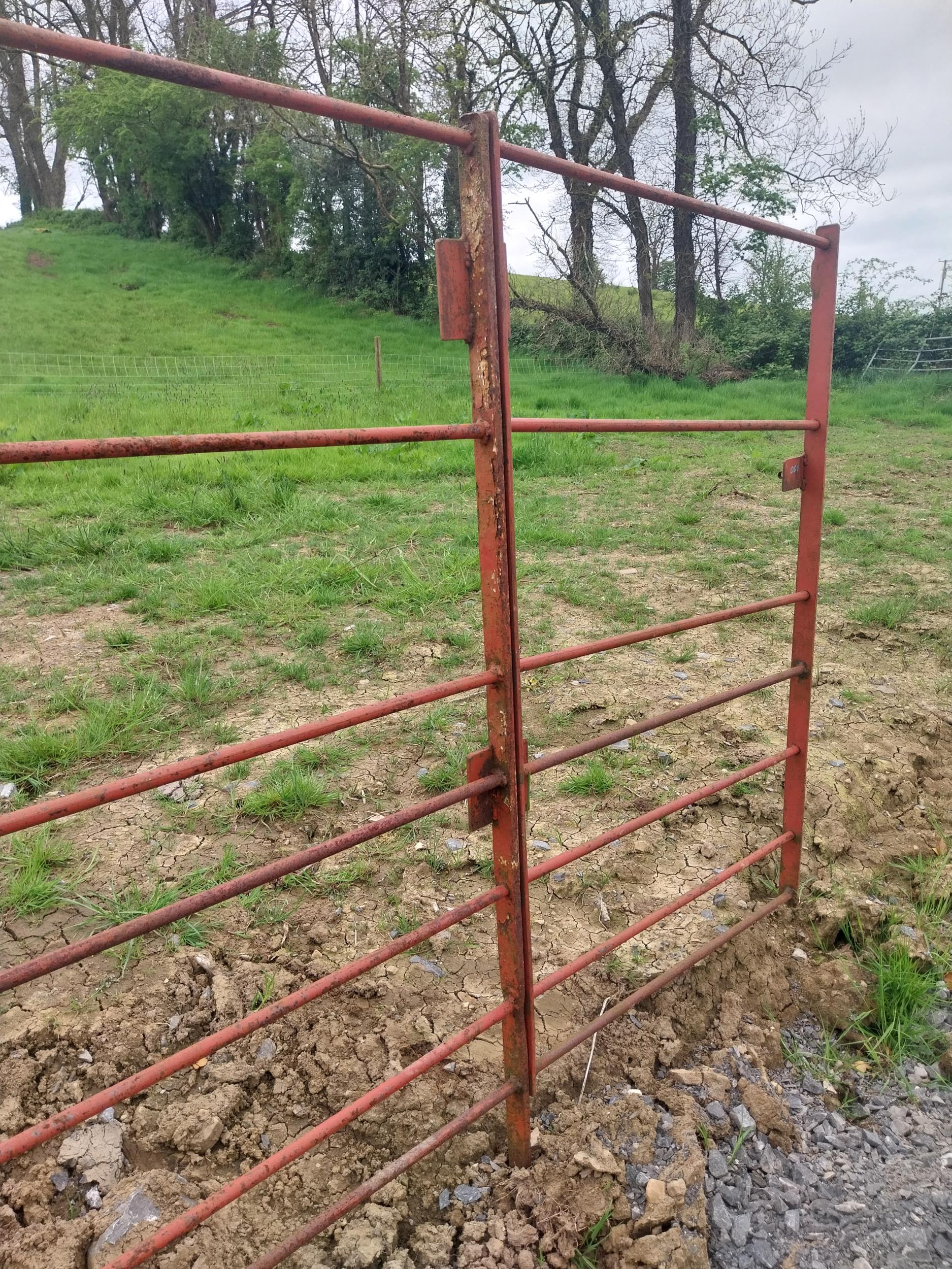 Two panels of wrought iron estate railing and gate {136 cm H x 785 cm overall length}. - Image 2 of 4