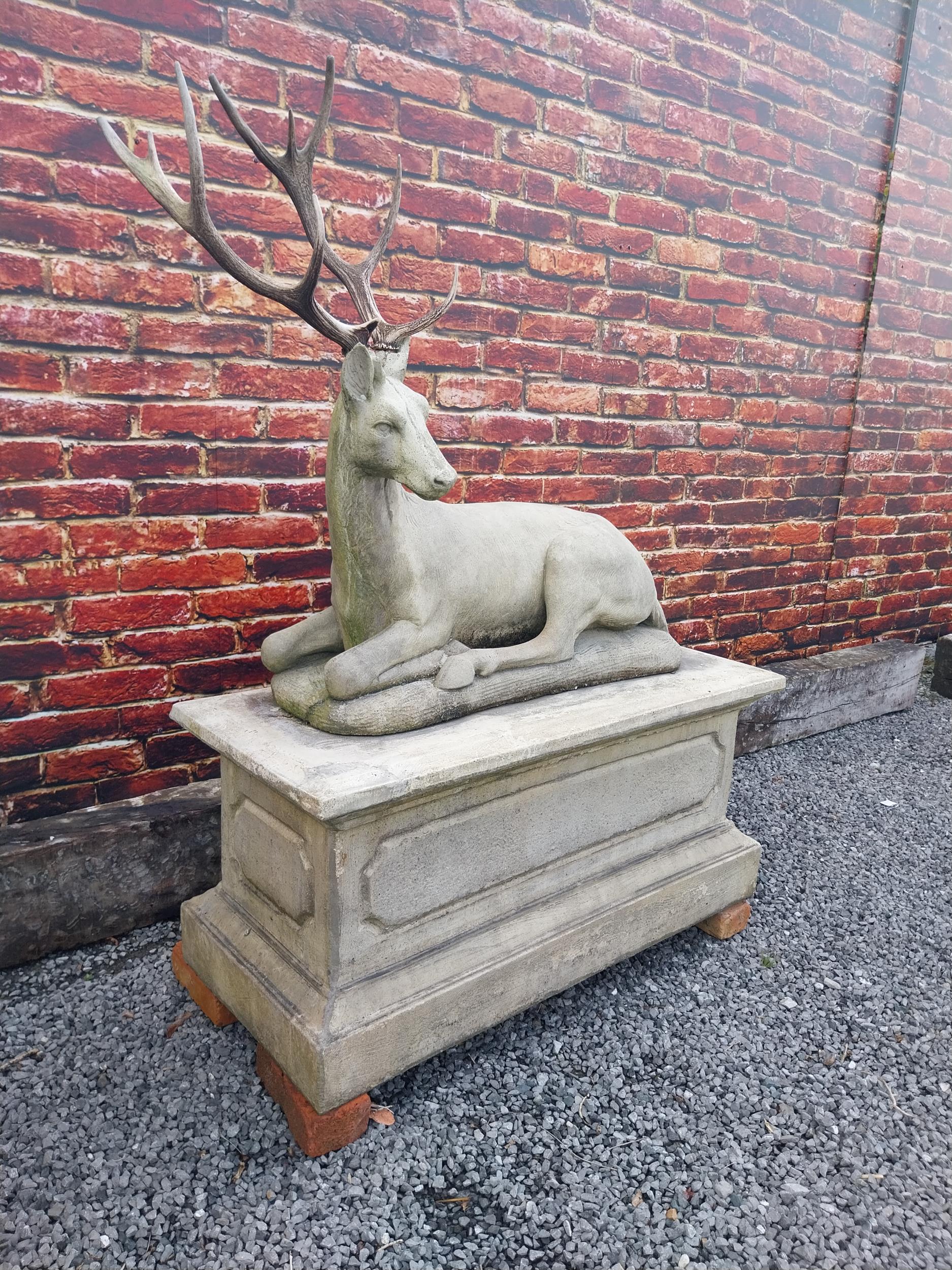 Good quality moulded stone statue of a Stag with real antlers raised on pedestal base {160 cm H x - Bild 2 aus 9