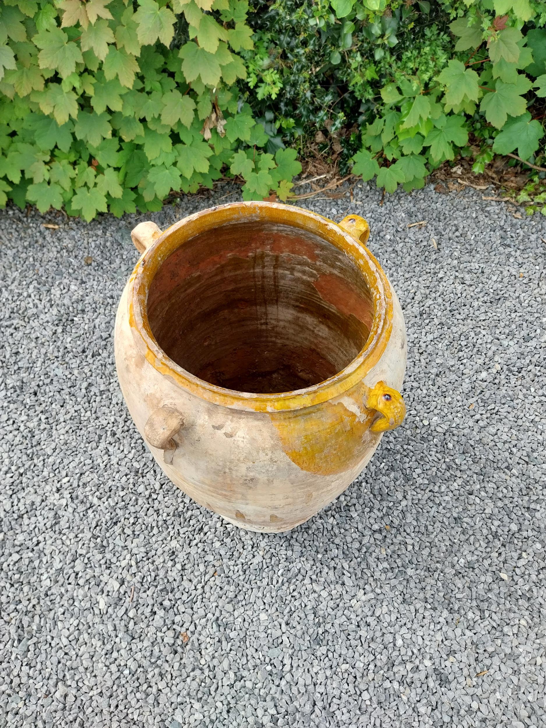 Rare 19th C. Spanish terracotta olive pot {80 cm H x 53 cm Dia.}. - Image 3 of 11
