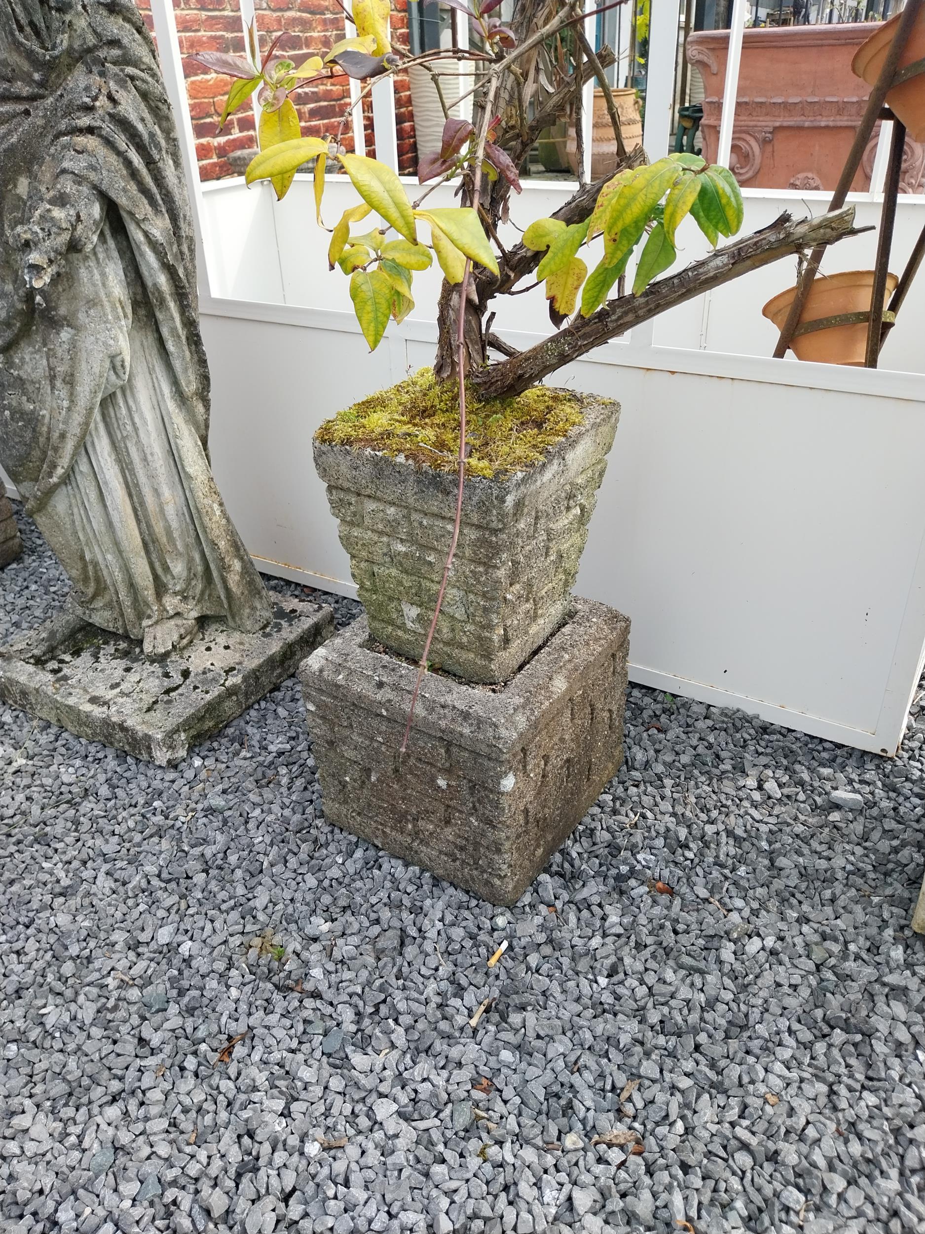 Pair of 1950s composition planters raised on plinths {53 cm H x 31 cm W x 31 cm D}. - Image 2 of 3