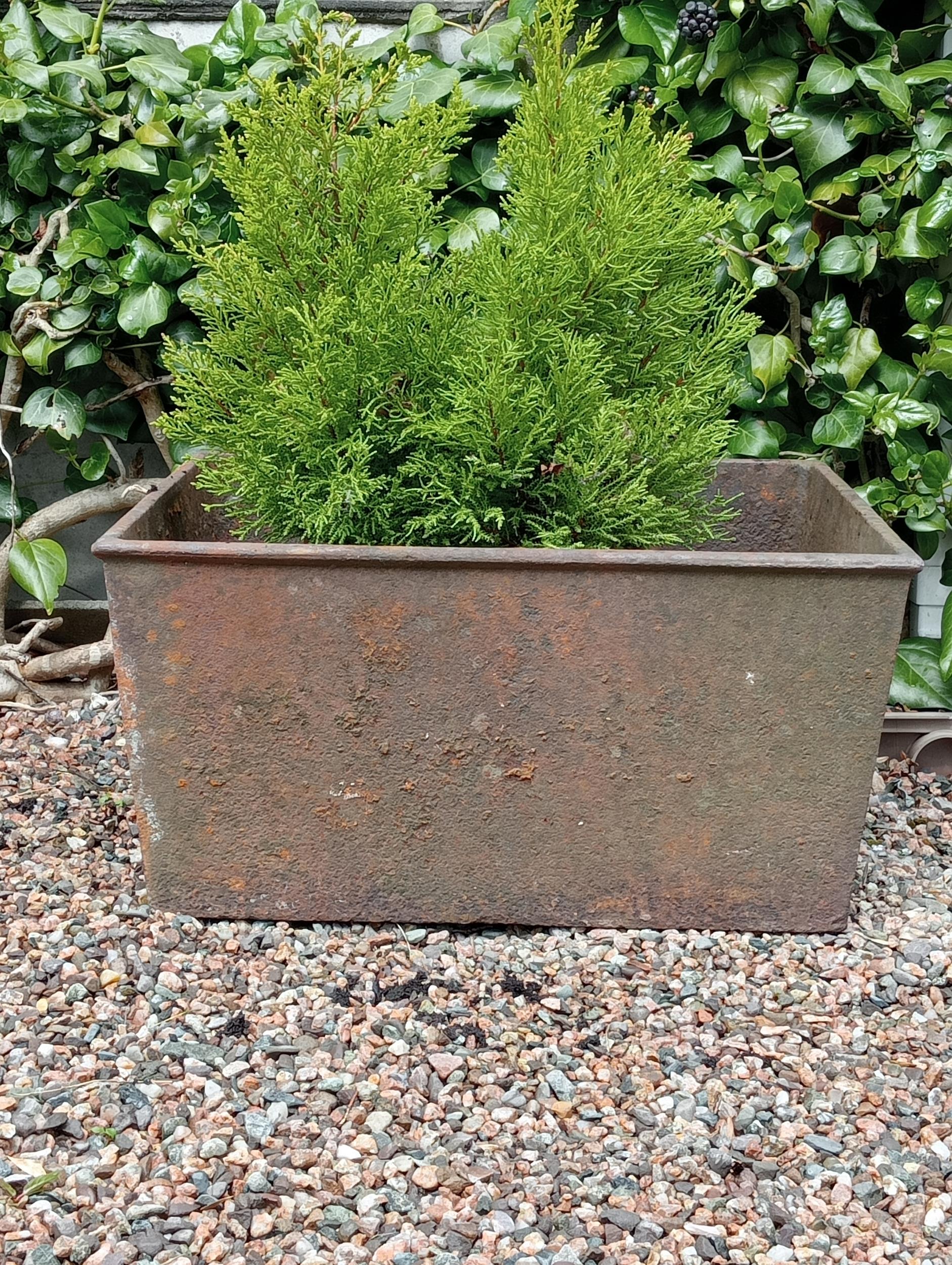 Cast iron rectangular planter {}. (NOT AVAILABLE TO VIEW IN PERSON)