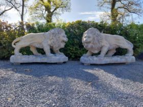 Pair of exceptional quality moulded sandstone majestic Lions {132 cm H x 210 cm W x 80 cm D}.