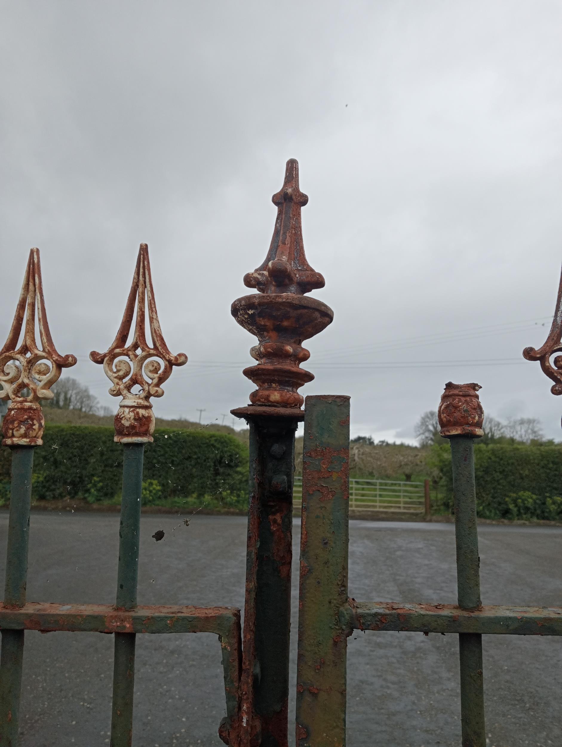 Pair of wrought iron gates spiked finials {H 160cm x W 310cm }. (NOT AVAILABLE TO VIEW IN PERSON) - Image 2 of 4