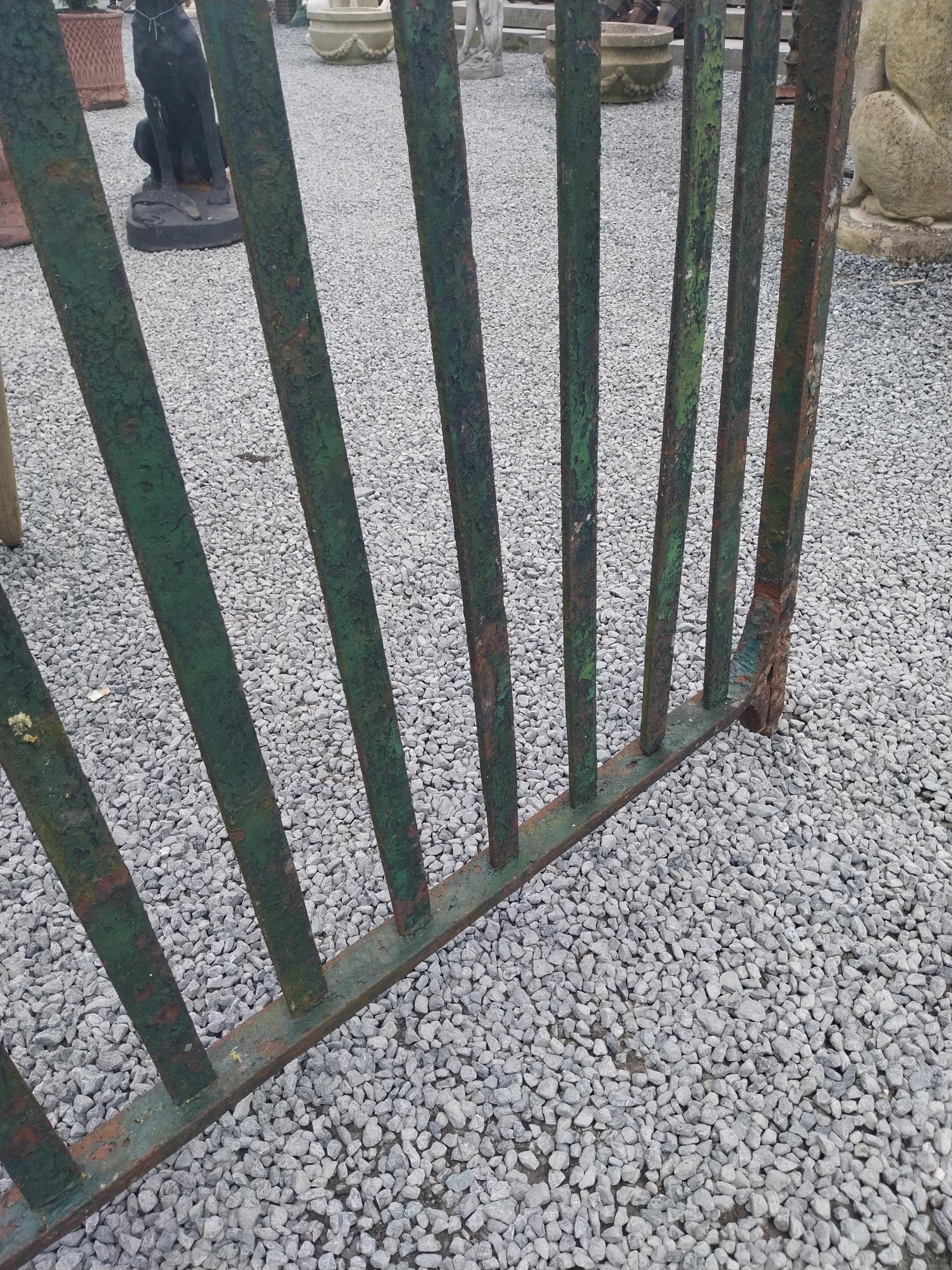 Pair of 19th C. Irish hand-forged wrought iron entrance gates {163 cm H x 244 cm W}. - Image 4 of 5