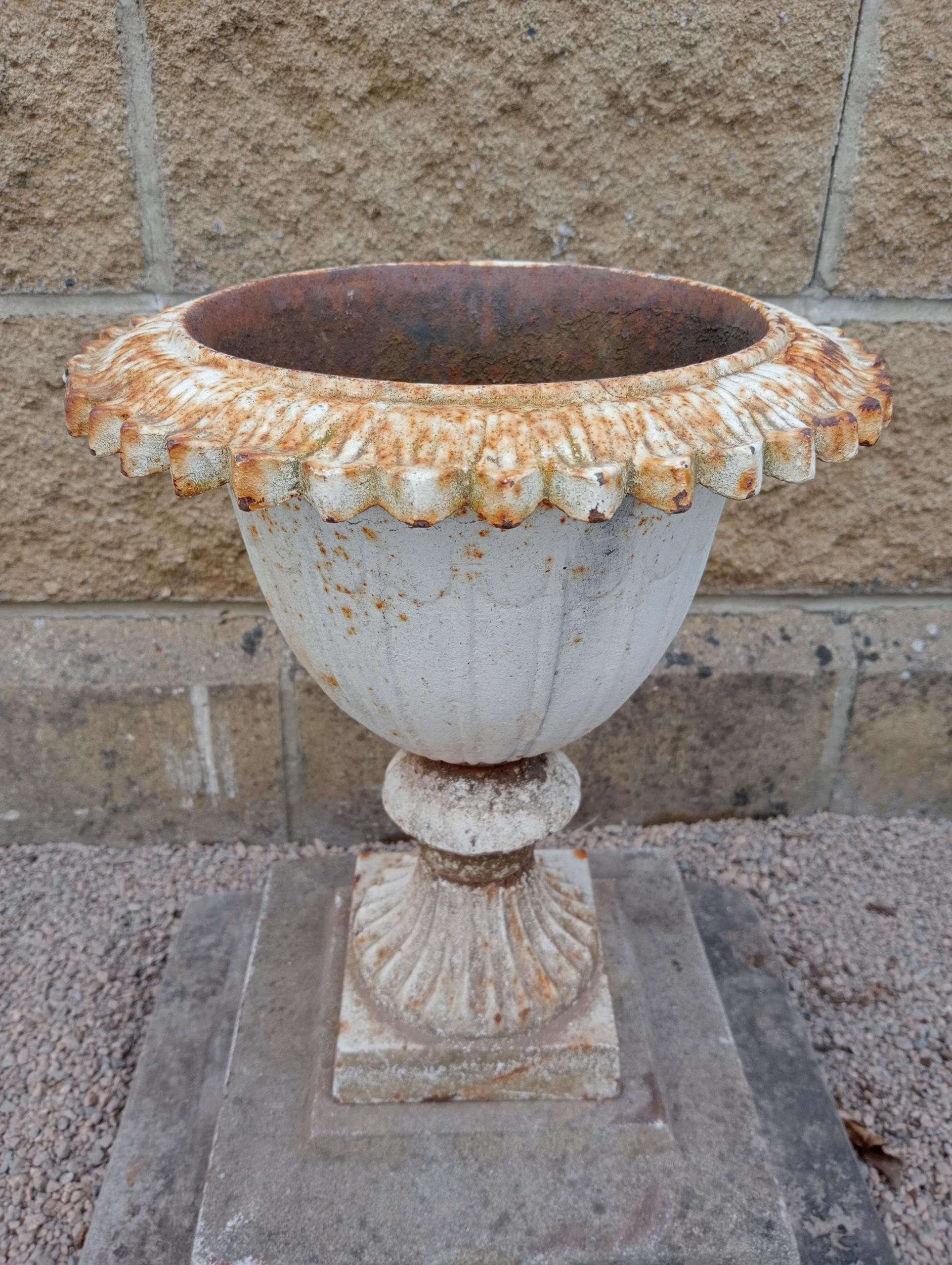 Cast iron urn on stone base {H 50cm x W 43cm x D 43cm }. (NOT AVAILABLE TO VIEW IN PERSON) - Image 2 of 3