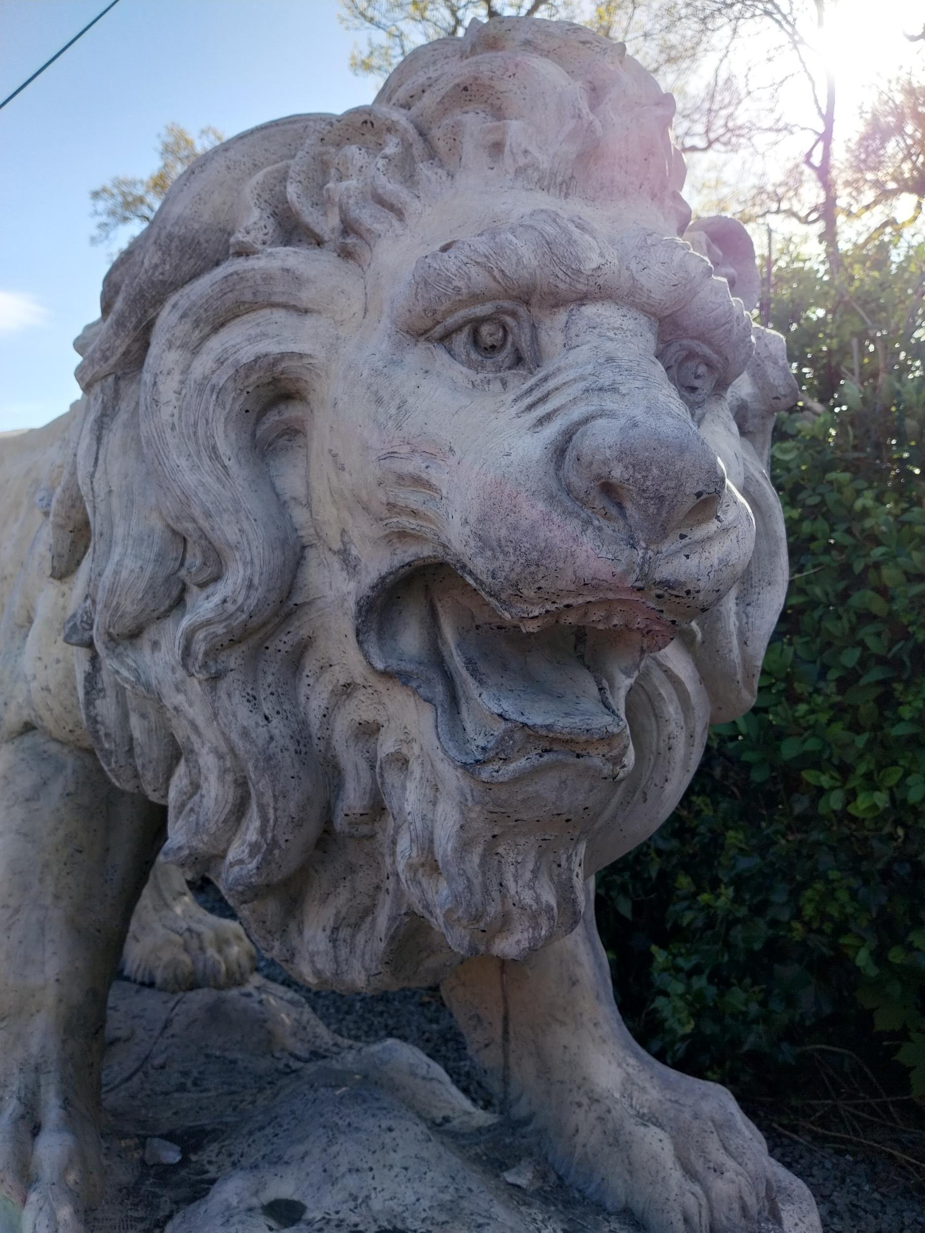 Pair of exceptional quality moulded sandstone majestic Lions {132 cm H x 210 cm W x 80 cm D}. - Image 5 of 16