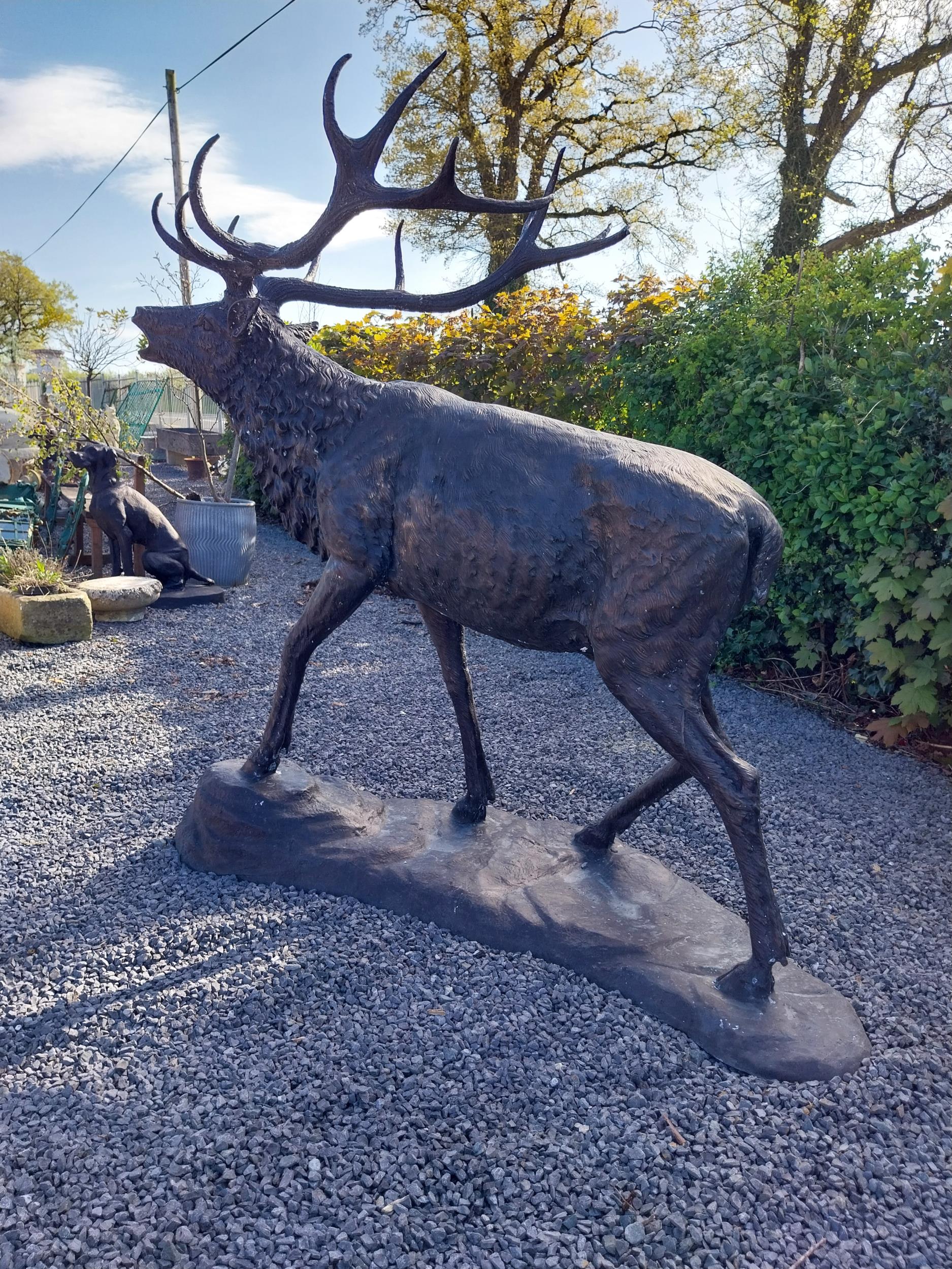 Exceptional quality bronze statue of a bellowing Stag {170 cm H x - Image 7 of 8