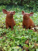 Pair of wrought iron statue of Piglets {30 cm H x 26 cm W x 19 cm D}.