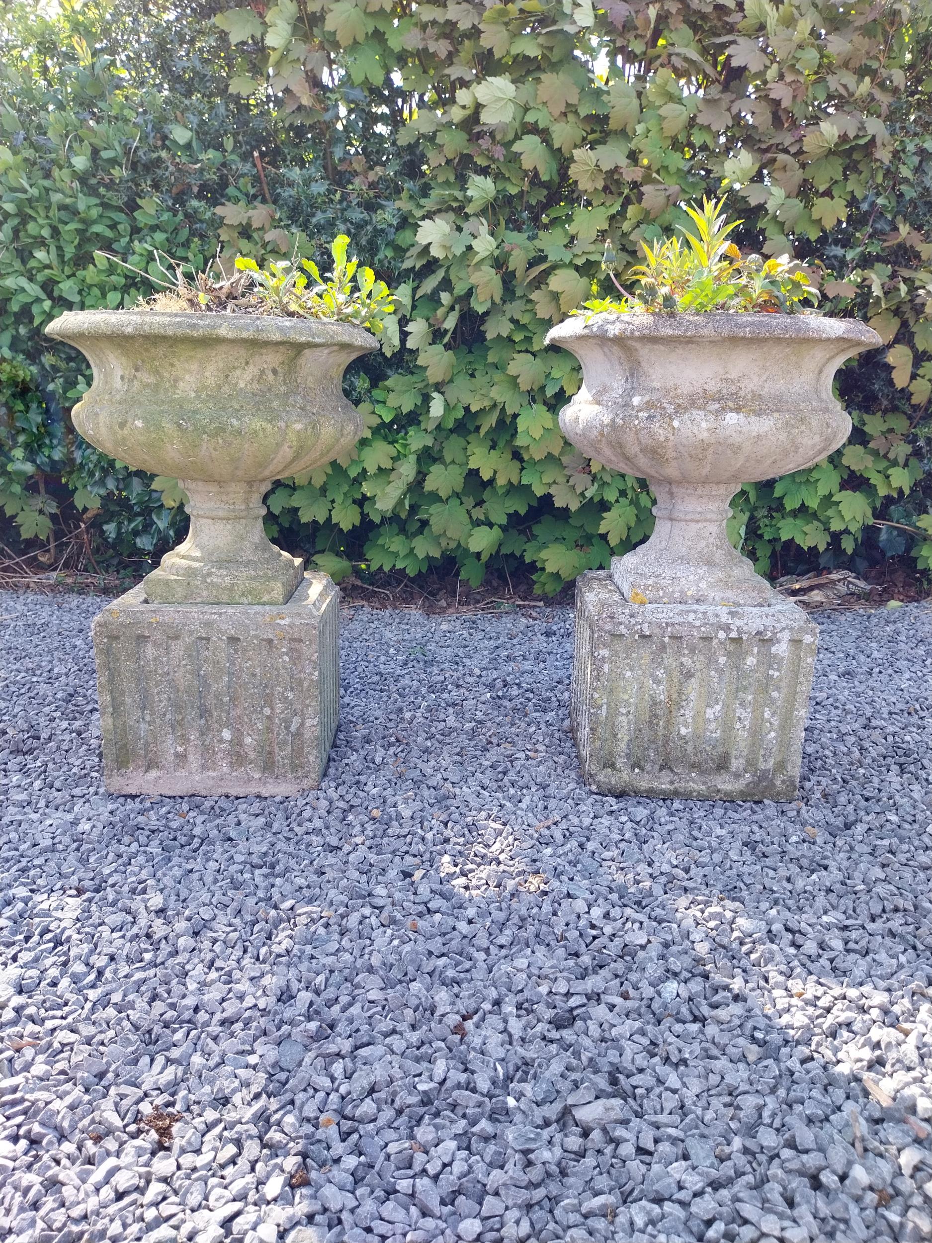 Pair of early 20th C. composition urns on square pedestals {68 cm H x 46 cm Dia.}. - Image 2 of 8