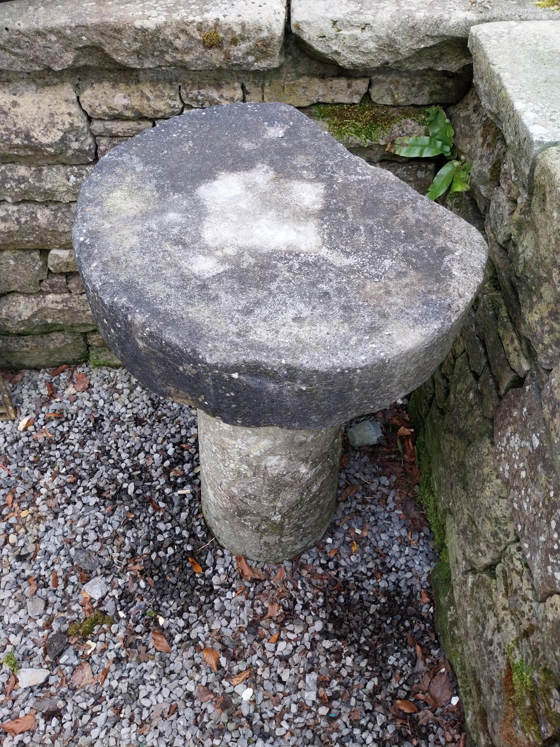 19th C. sandstone staddle stone {77 cm H x 50 cm Dia.}. - Image 5 of 5