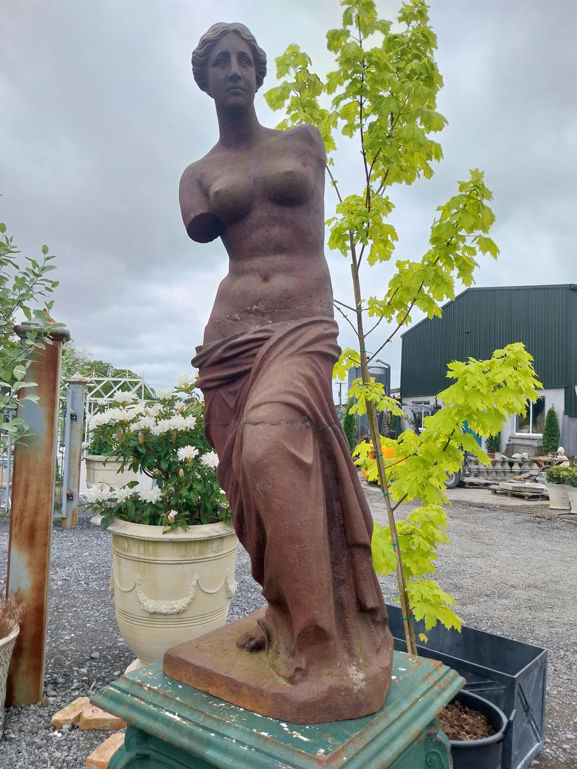 Good quality cast iron statue of Venus de Milo {150 cm H x 48 cm W x 48 cm D}. - Image 14 of 17