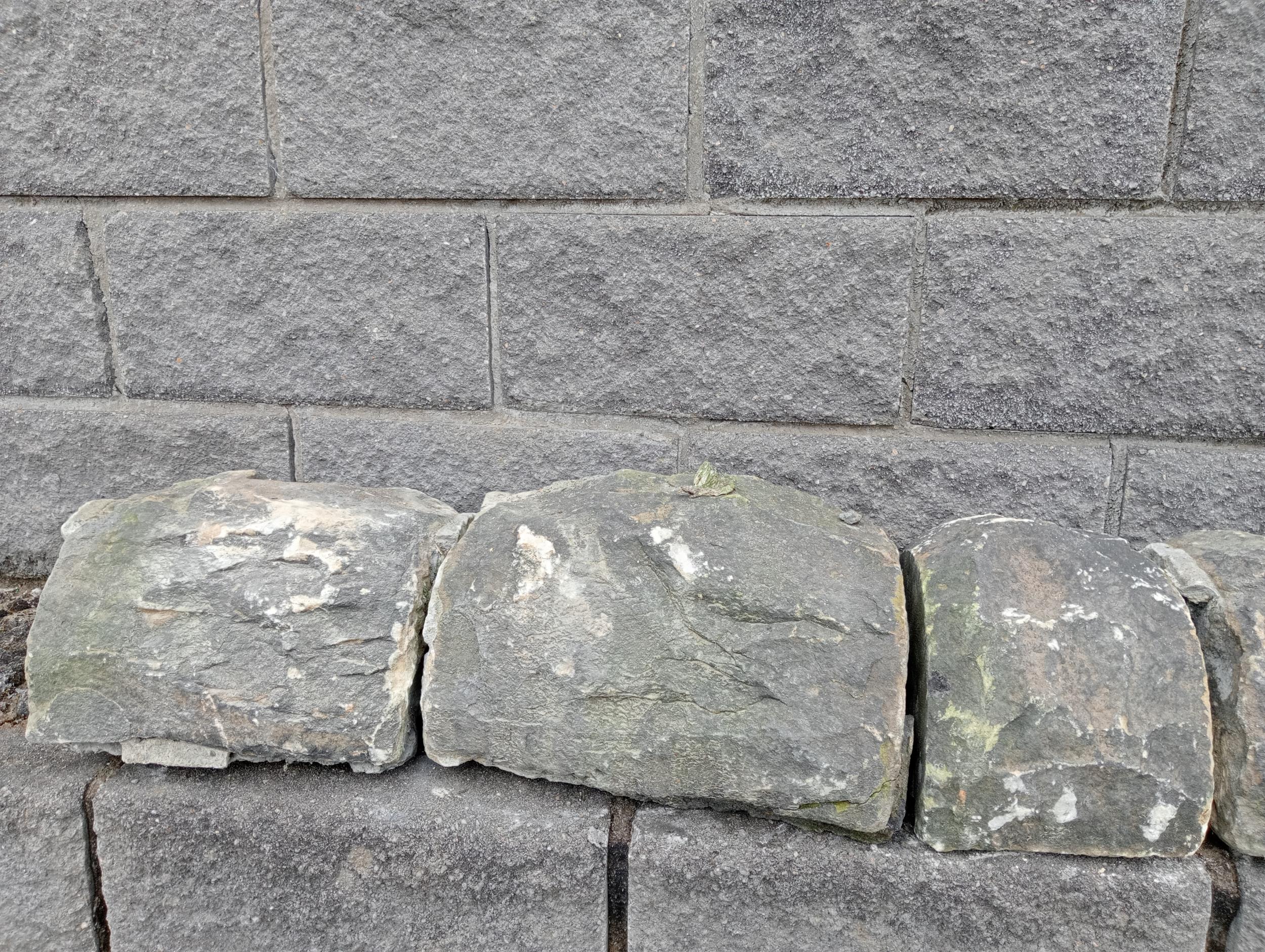 Collection of twelve antique reclaimed Yorkshire stone half-round bullnose wall copings {Total - Image 2 of 7