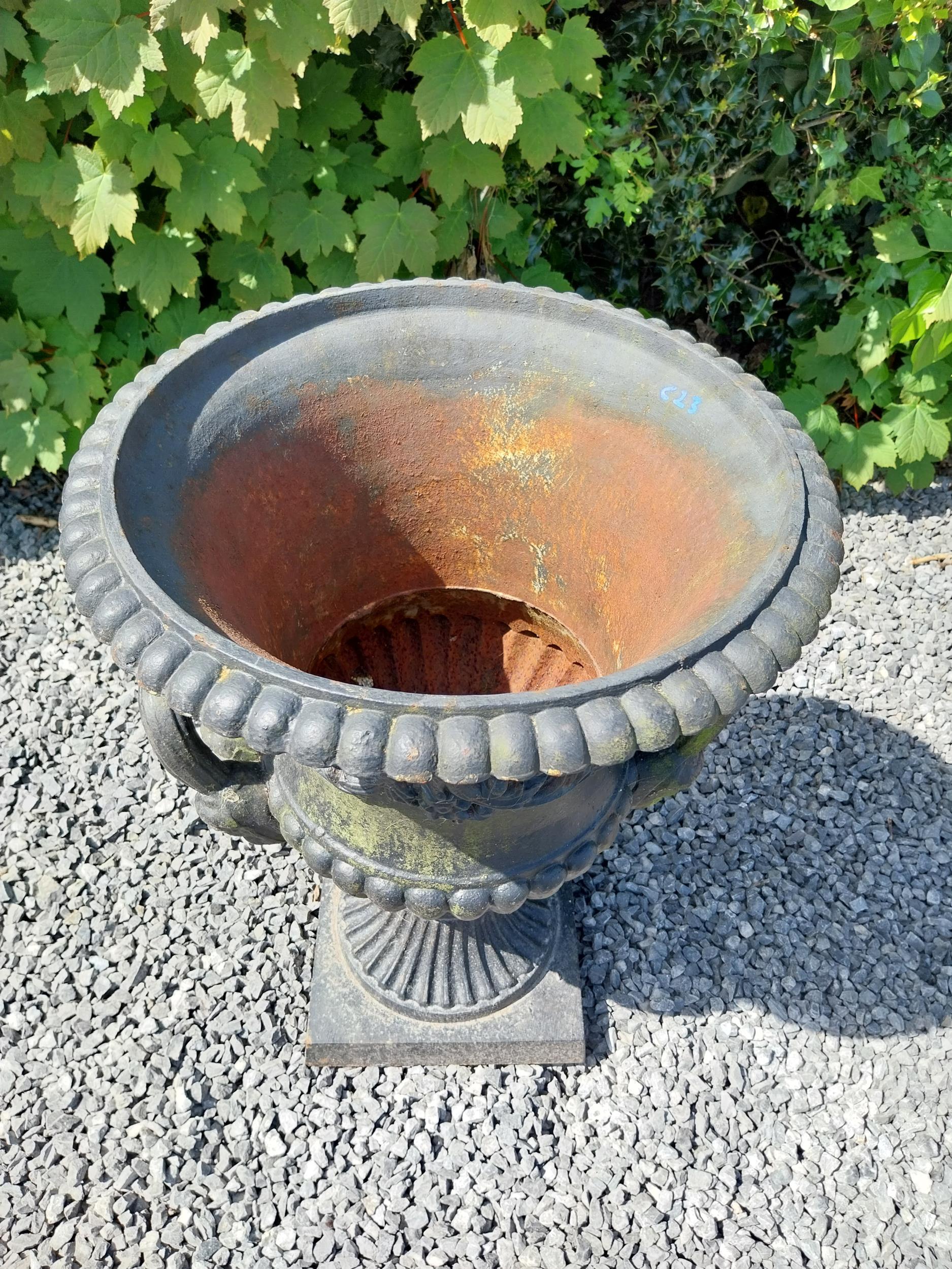 Good quality French decorative cast iron urn {60 cm H x 47 cm Dia.}. - Image 5 of 7