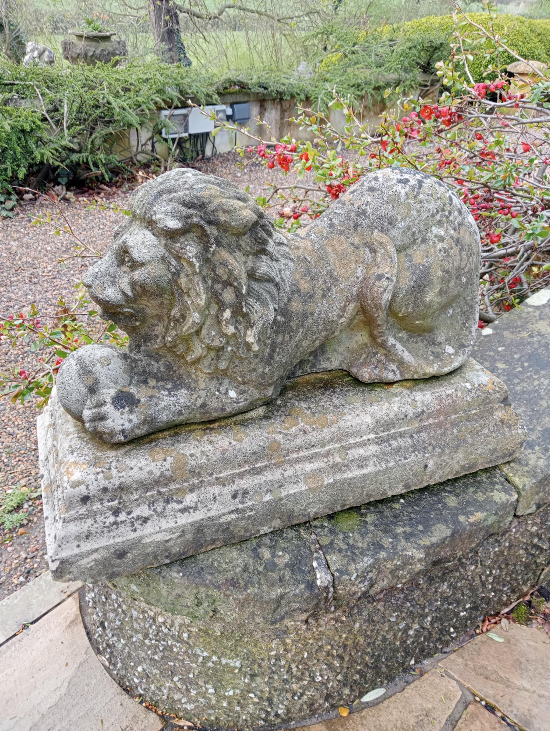 Pair of stone lions with balls at feet {H 45cm x W 28cm x D 66cm}. (NOT AVAILABLE TO VIEW IN - Bild 5 aus 5