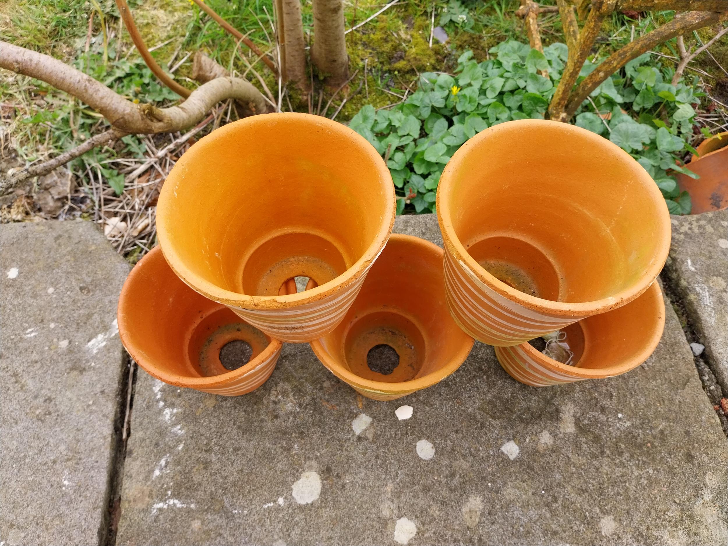 Collection of five terracotta plant pots with spiral design {15 cm H x 16 cm Dia.}. - Image 2 of 3