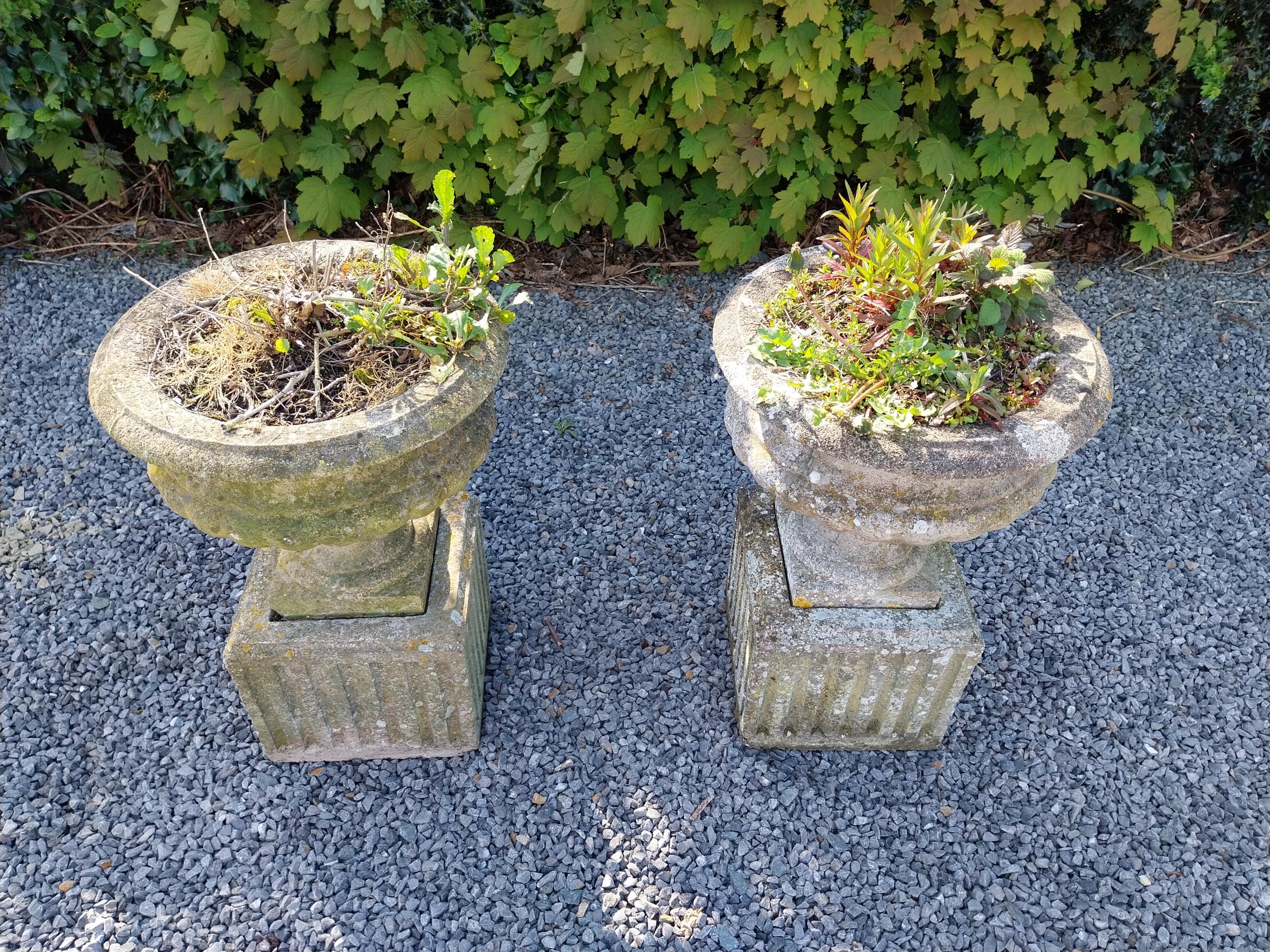 Pair of early 20th C. composition urns on square pedestals {68 cm H x 46 cm Dia.}. - Image 3 of 8