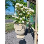 Pair of large moulded sandstone urns decorated with swags including plants {Urns dimensions 100 cm H