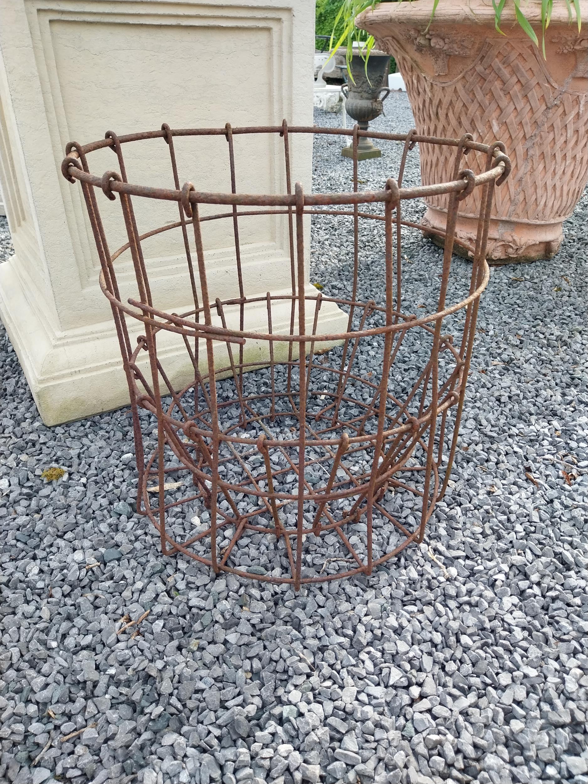 Early 20th C. wrought iron planter {52 cm H x 55 cm Dia.}.