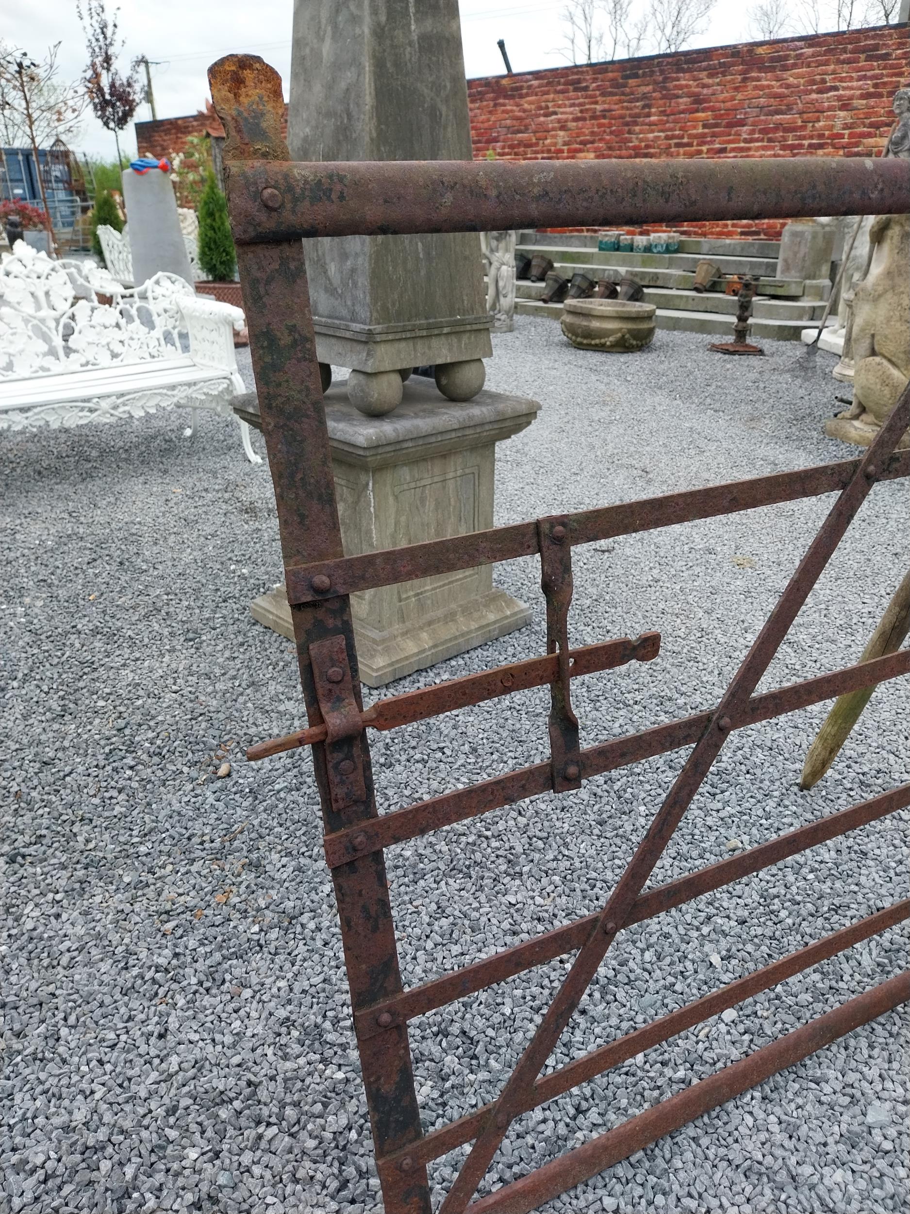 19th C. Irish hand-forged wrought iron field gate {137 cm H x 231 cm W}. - Image 3 of 4