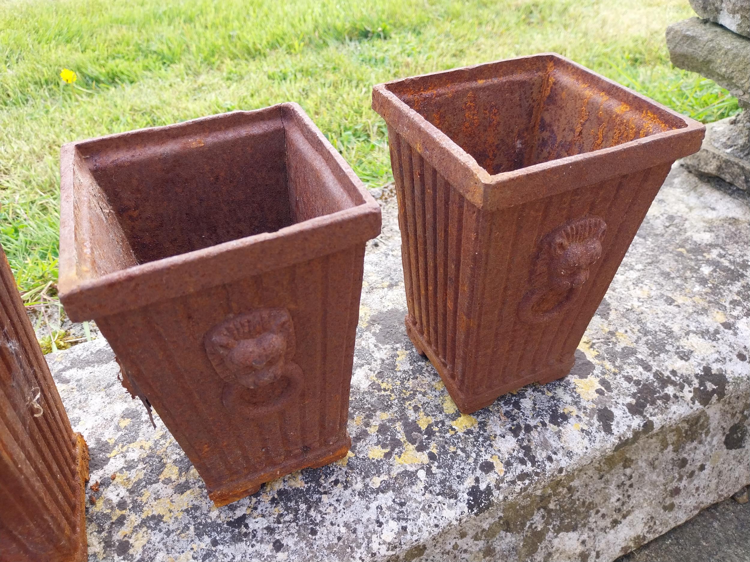 Set of four small cast iron garden planters {20 cm H x 13 cm W x 13 cm D}. - Image 2 of 4