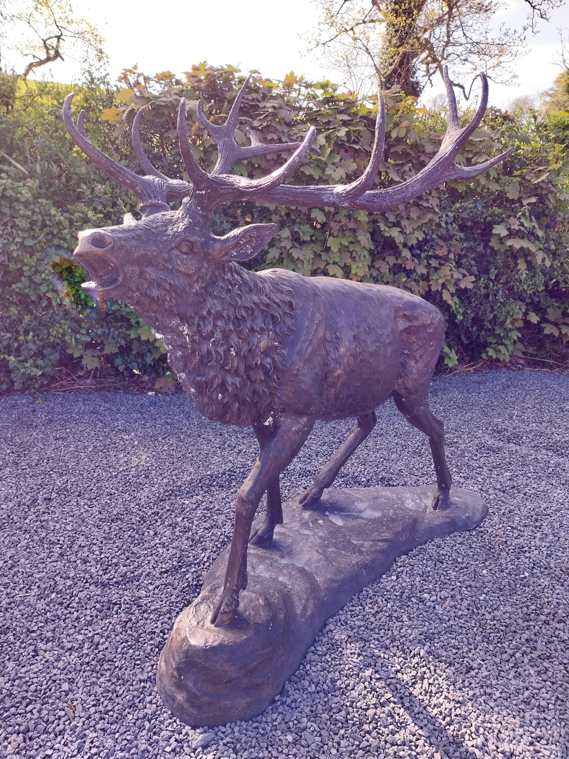 Exceptional quality bronze statue of a bellowing Stag {170 cm H x - Image 4 of 8