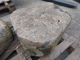 Giants causeway stone {24cm H x 62cm W x 49cm D}