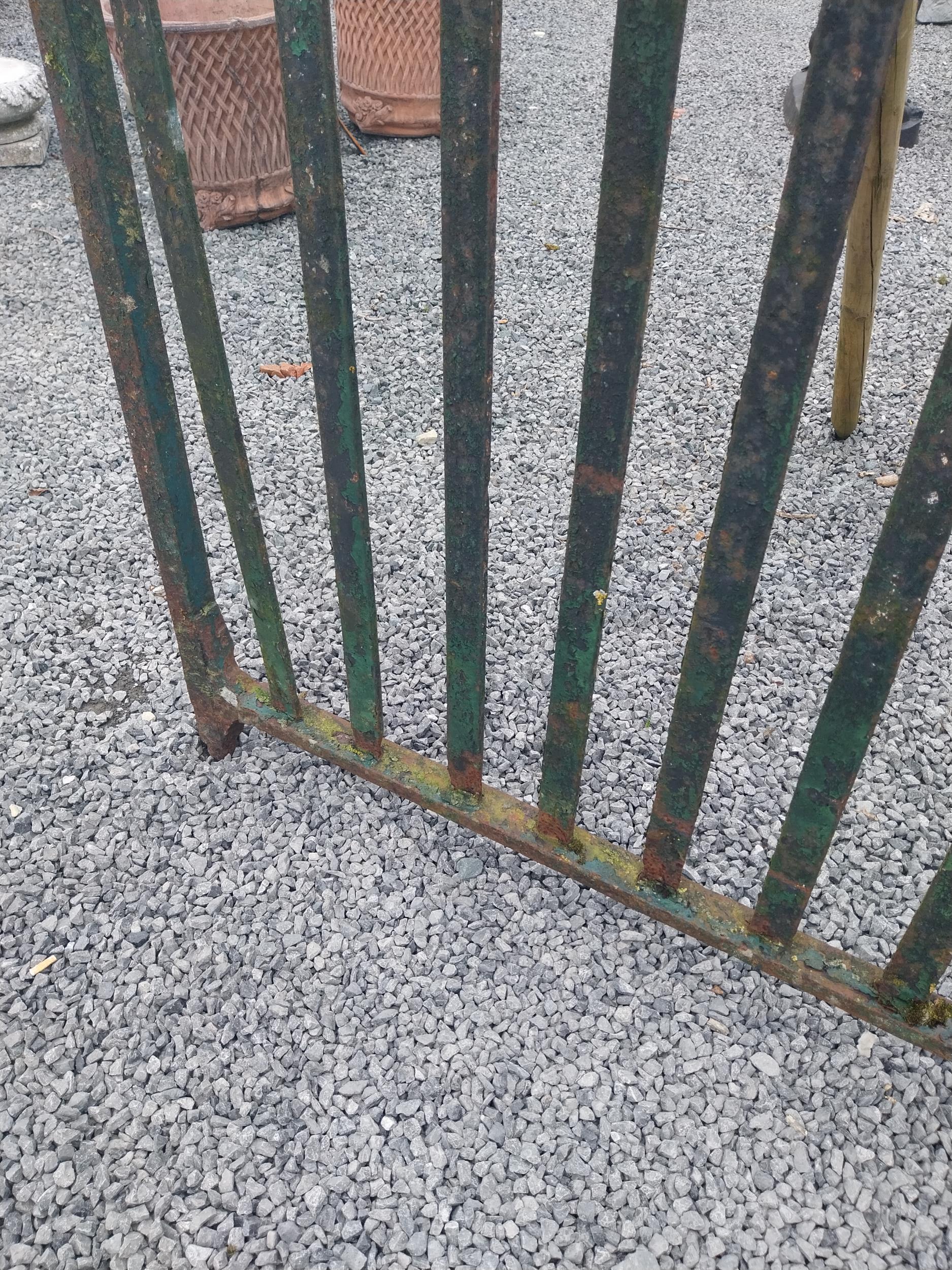 Pair of 19th C. Irish hand-forged wrought iron entrance gates {163 cm H x 244 cm W}. - Image 5 of 5