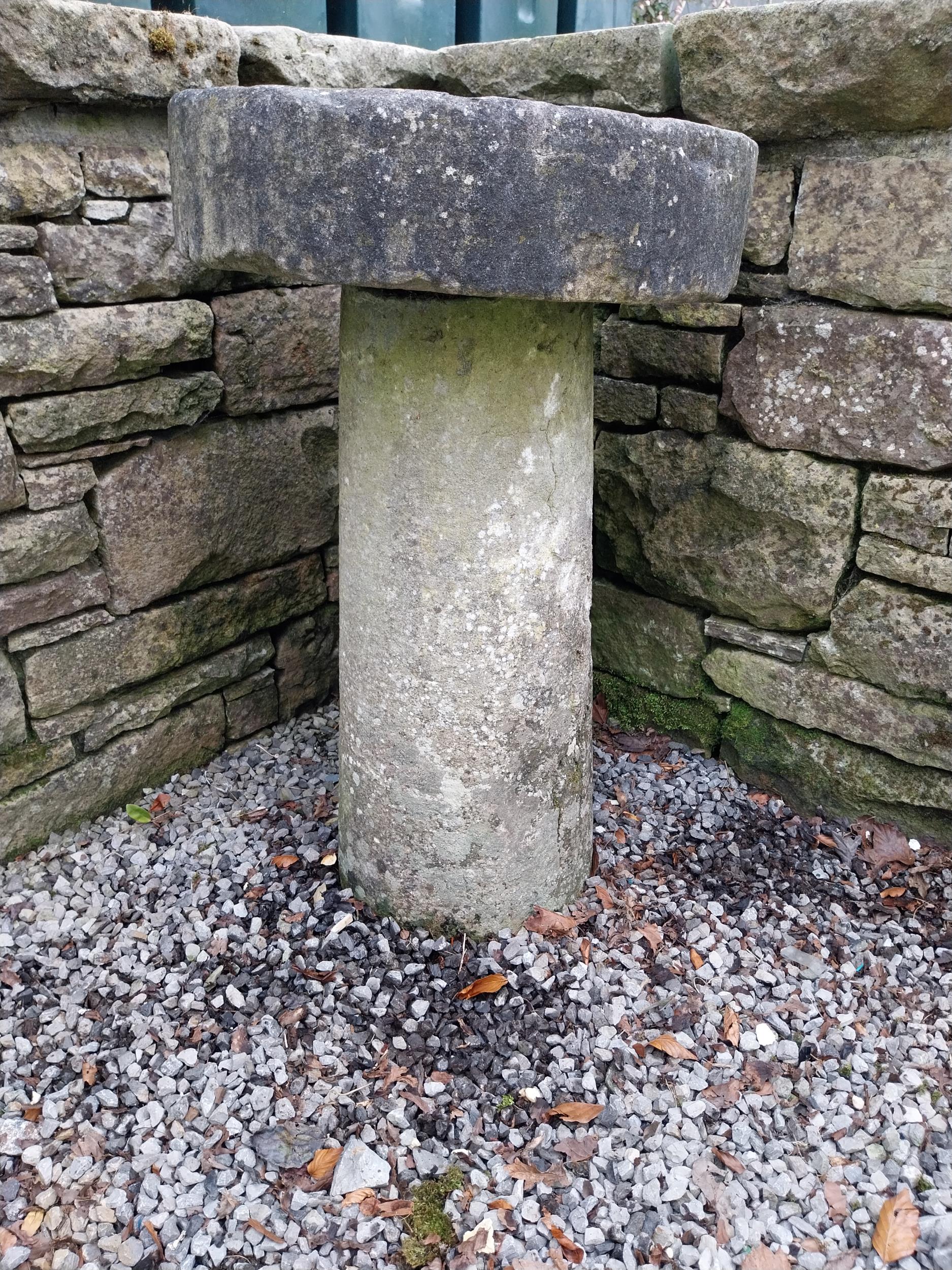 19th C. sandstone staddle stone {77 cm H x 50 cm Dia.}.