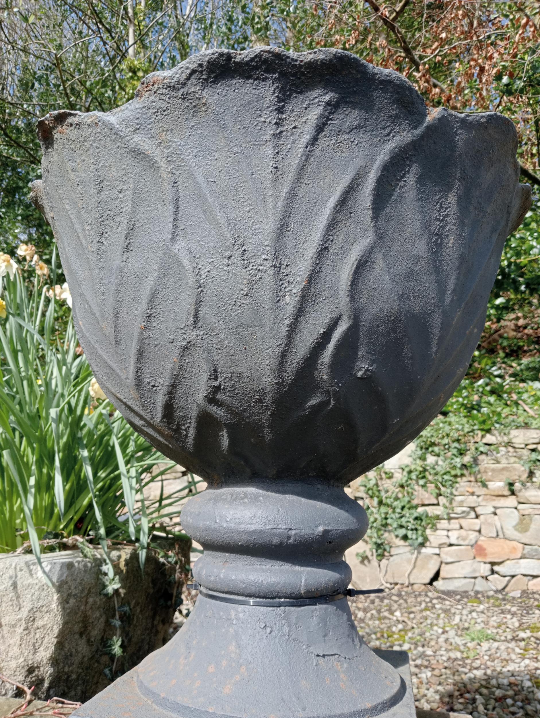 Pair of cast iron urns raised on sandstone pedestal {H 67cm x Dia 60cm }. (NOT AVAILABLE TO VIEW - Image 4 of 6