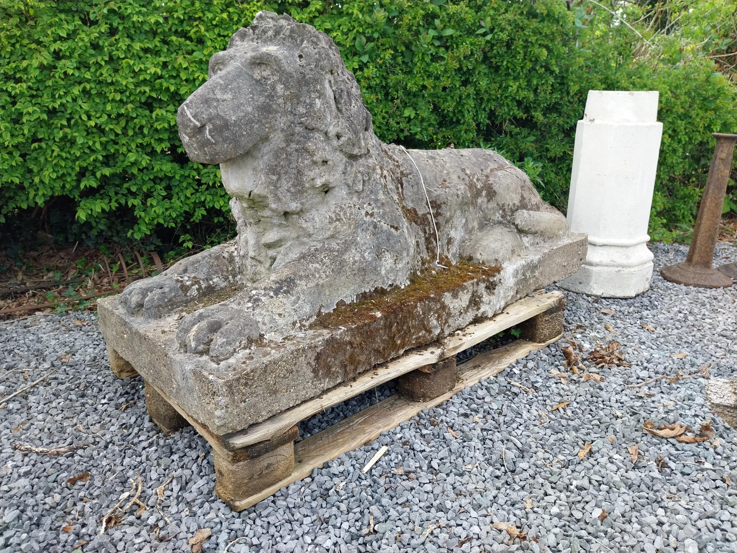 Early 20th C. composition statue of a recumbent Lion {82 cm H x 149 cm W x 60 cm D}.