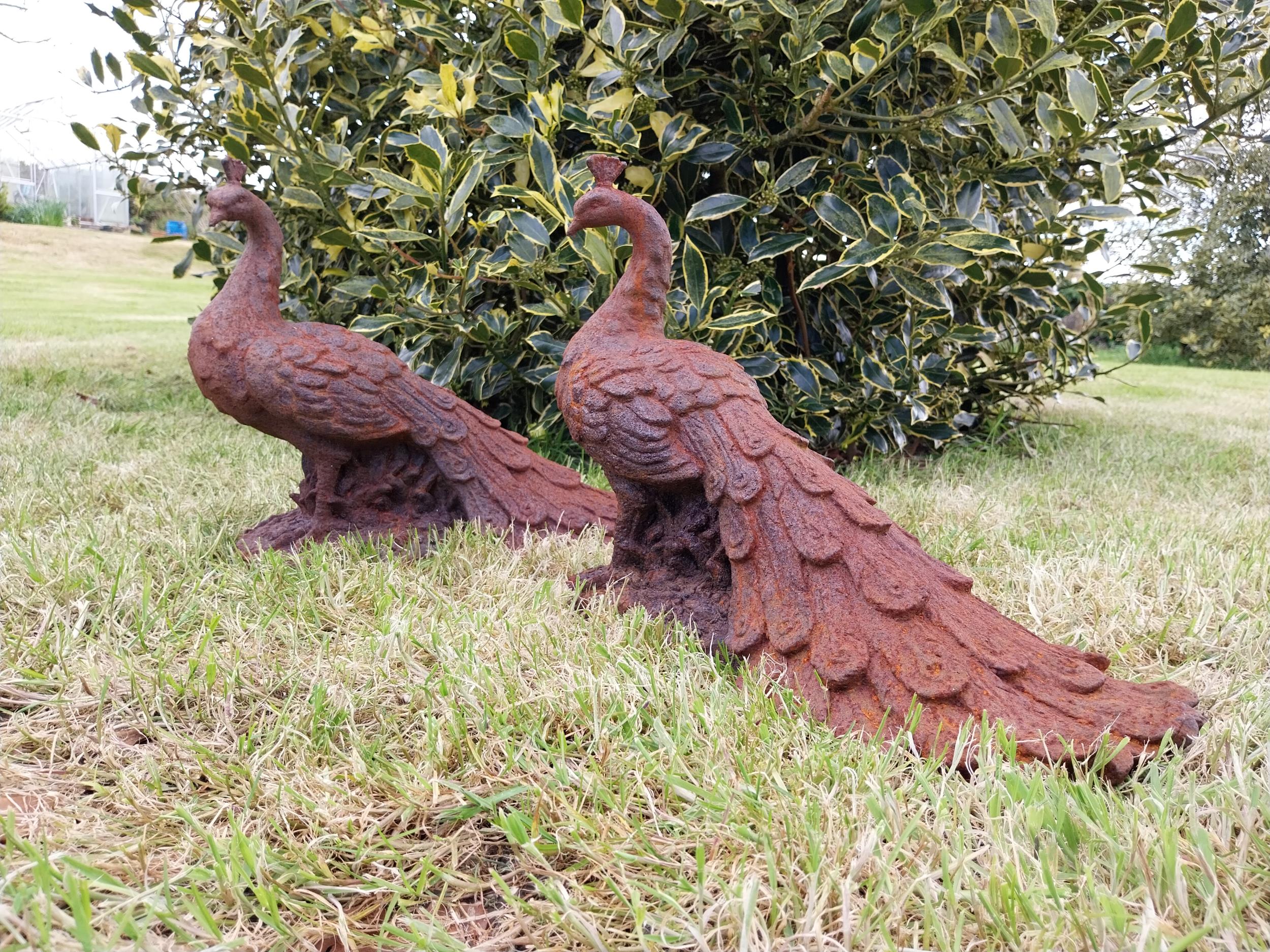 Pair of cast iron statuette of Peacocks {34 cm H x 21 cm W x 42 cm D}. - Bild 2 aus 6