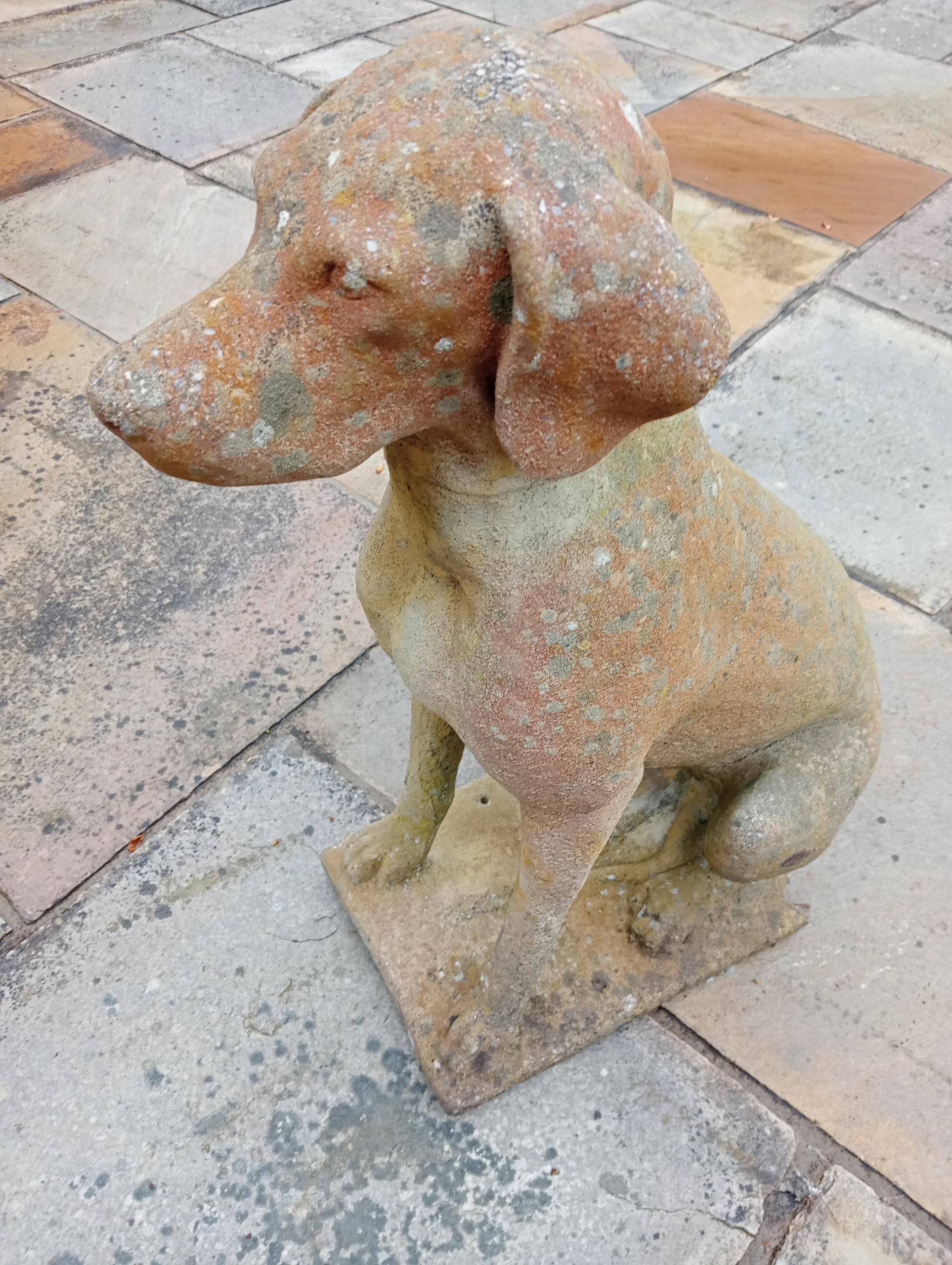 Pair of composition stone statues of Dogs {H 60cm x W 28cm x D 40cm }. (NOT AVAILABLE TO VIEW IN - Image 3 of 3