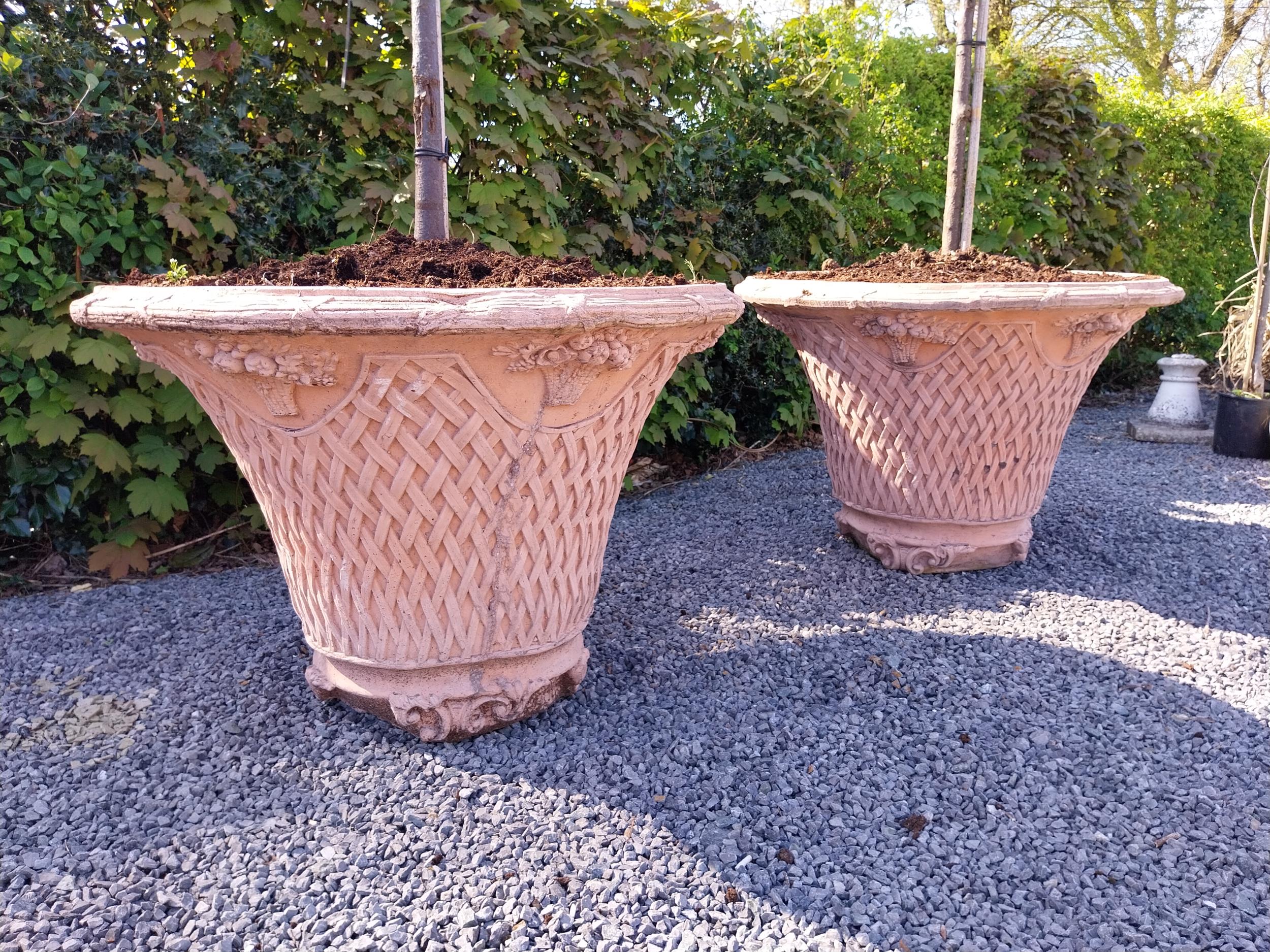Pair of moulded terracotta lattice urns with tree {Urn dimension 77 cm H x 105 cm Dia.}. - Image 4 of 5