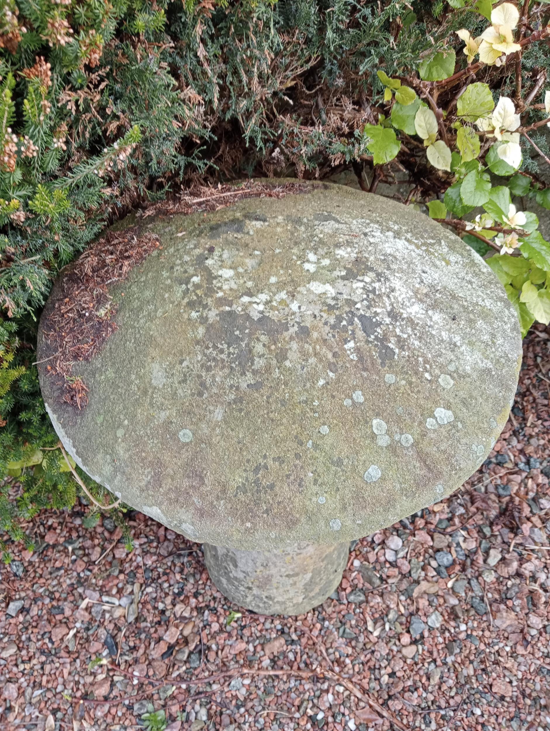 Sandstone staddle stone {H 74cm x Dia 52cm }. (NOT AVAILABLE TO VIEW IN PERSON) - Image 3 of 3