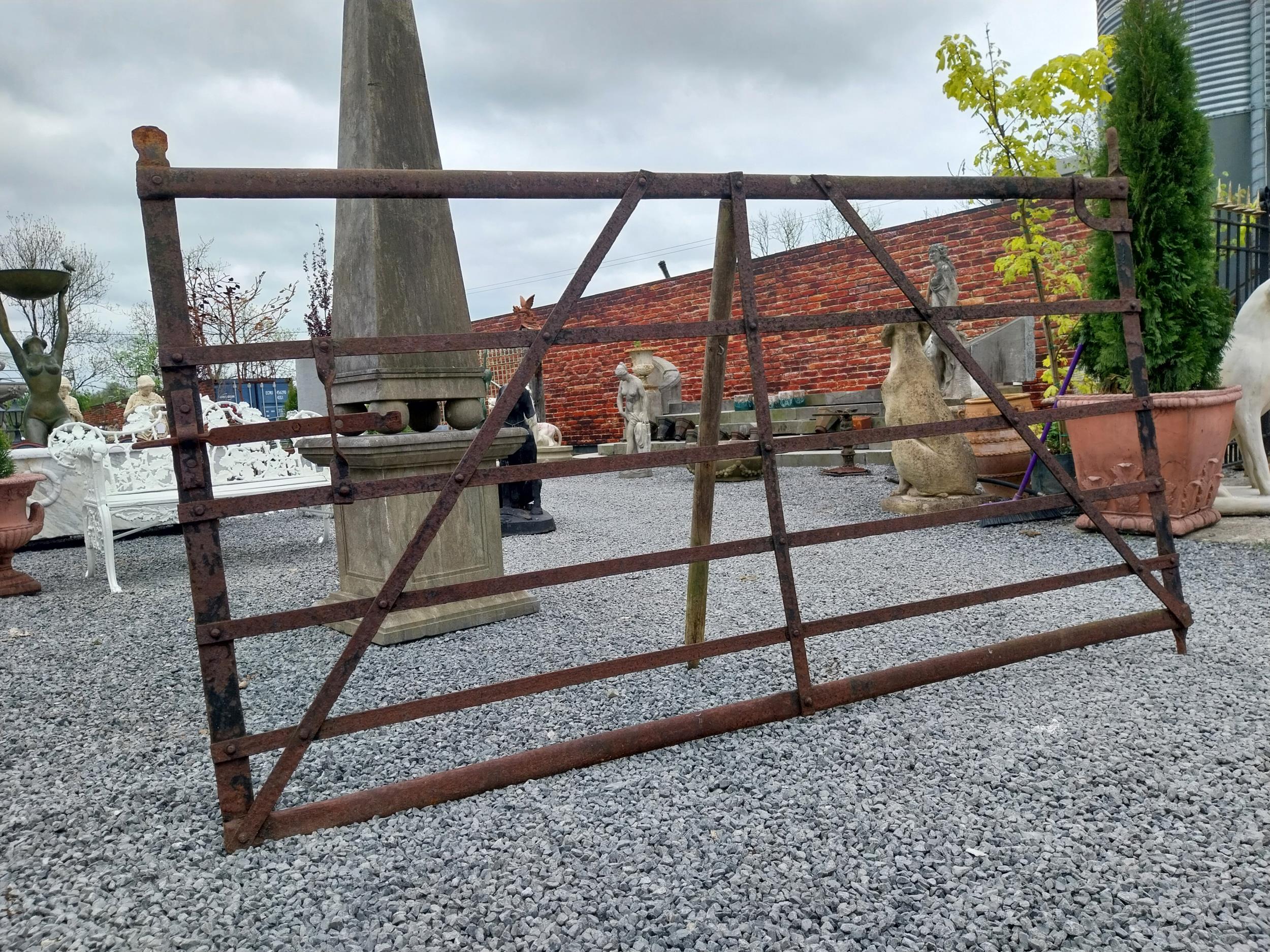 19th C. Irish hand-forged wrought iron field gate {137 cm H x 231 cm W}. - Image 4 of 4