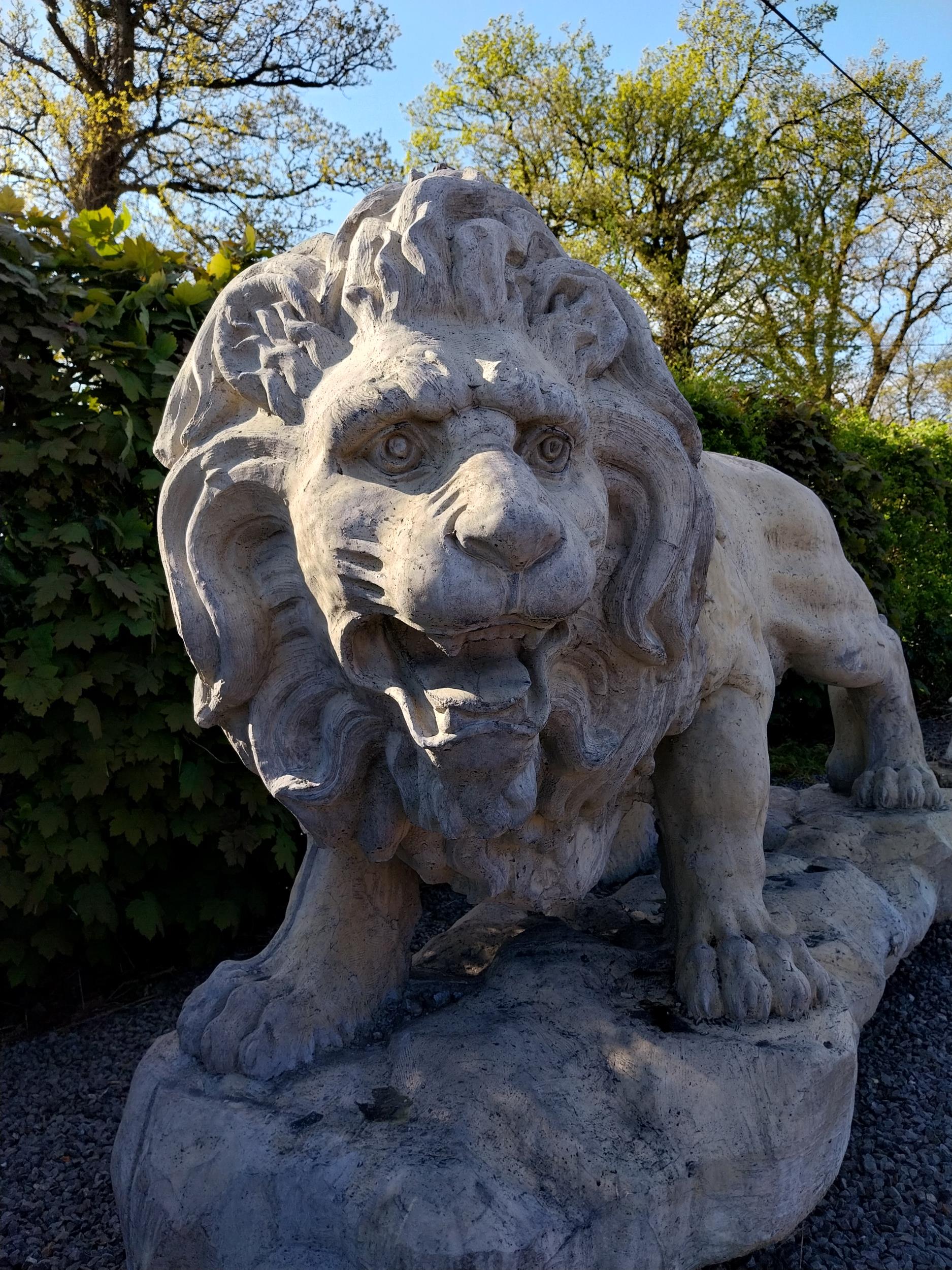 Pair of exceptional quality moulded sandstone majestic Lions {132 cm H x 210 cm W x 80 cm D}. - Image 11 of 16