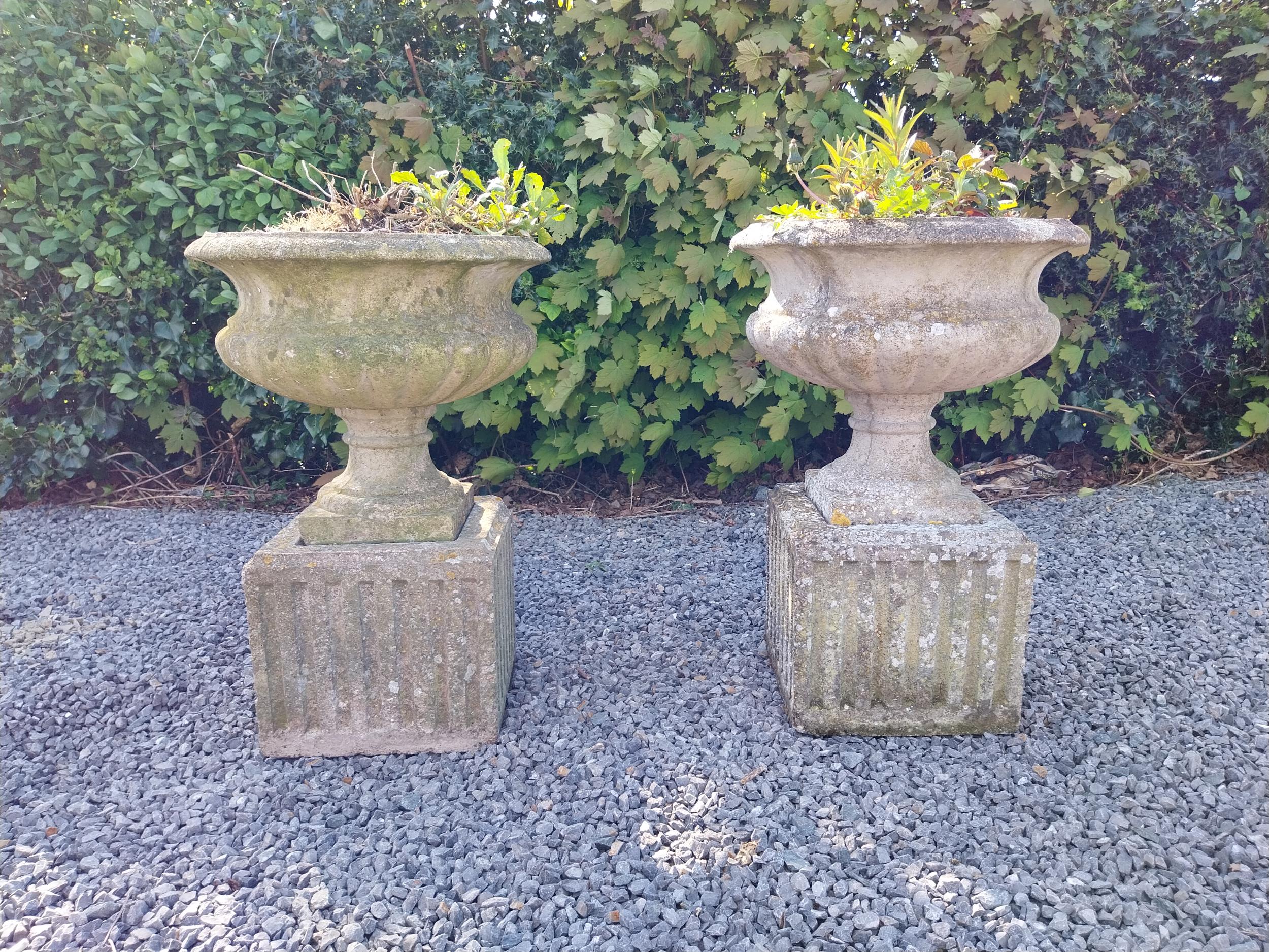 Pair of early 20th C. composition urns on square pedestals {68 cm H x 46 cm Dia.}.