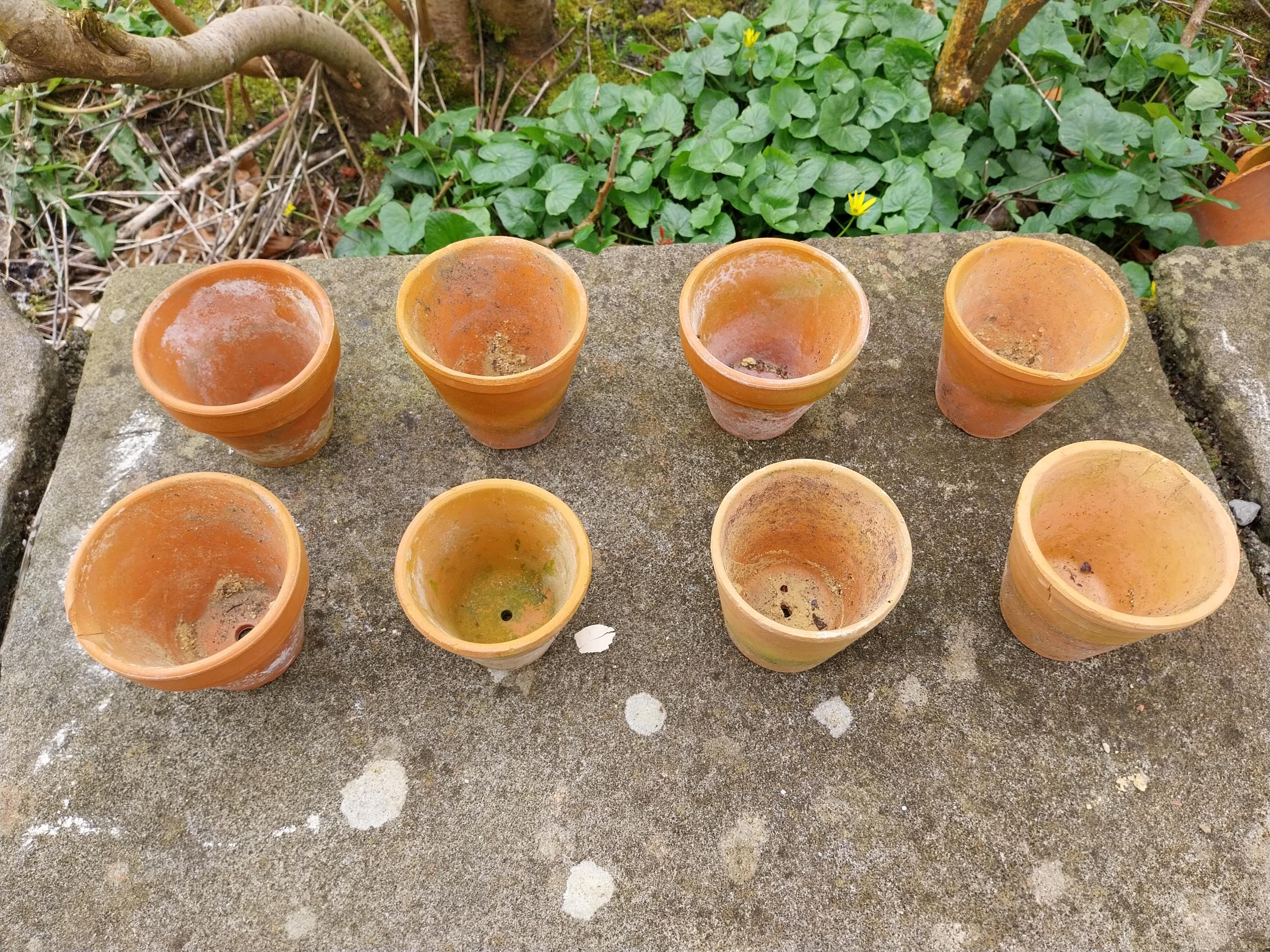 Collection of small terracotta plant pots {Roughly 9 cm H x 9 cm Dia.}. - Image 2 of 3