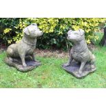 Pair of composite stone statues terriers {H 42cm x W 28cm x D 41cm }. (NOT AVAILABLE TO VIEW IN