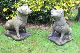 Pair of composite stone statues terriers {H 42cm x W 28cm x D 41cm }. (NOT AVAILABLE TO VIEW IN