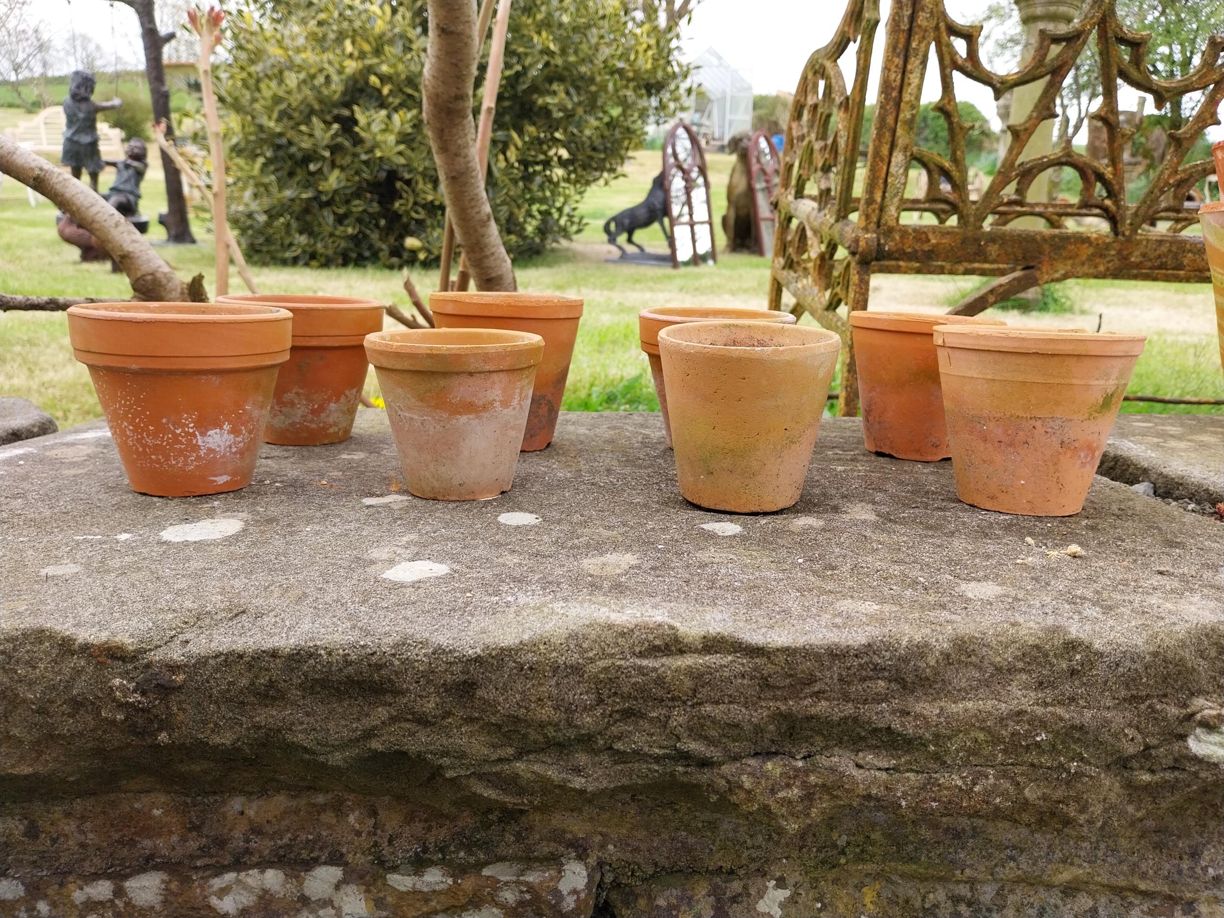 Collection of small terracotta plant pots {Roughly 9 cm H x 9 cm Dia.}.