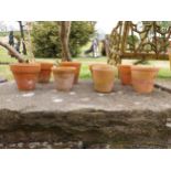 Collection of small terracotta plant pots {Roughly 9 cm H x 9 cm Dia.}.