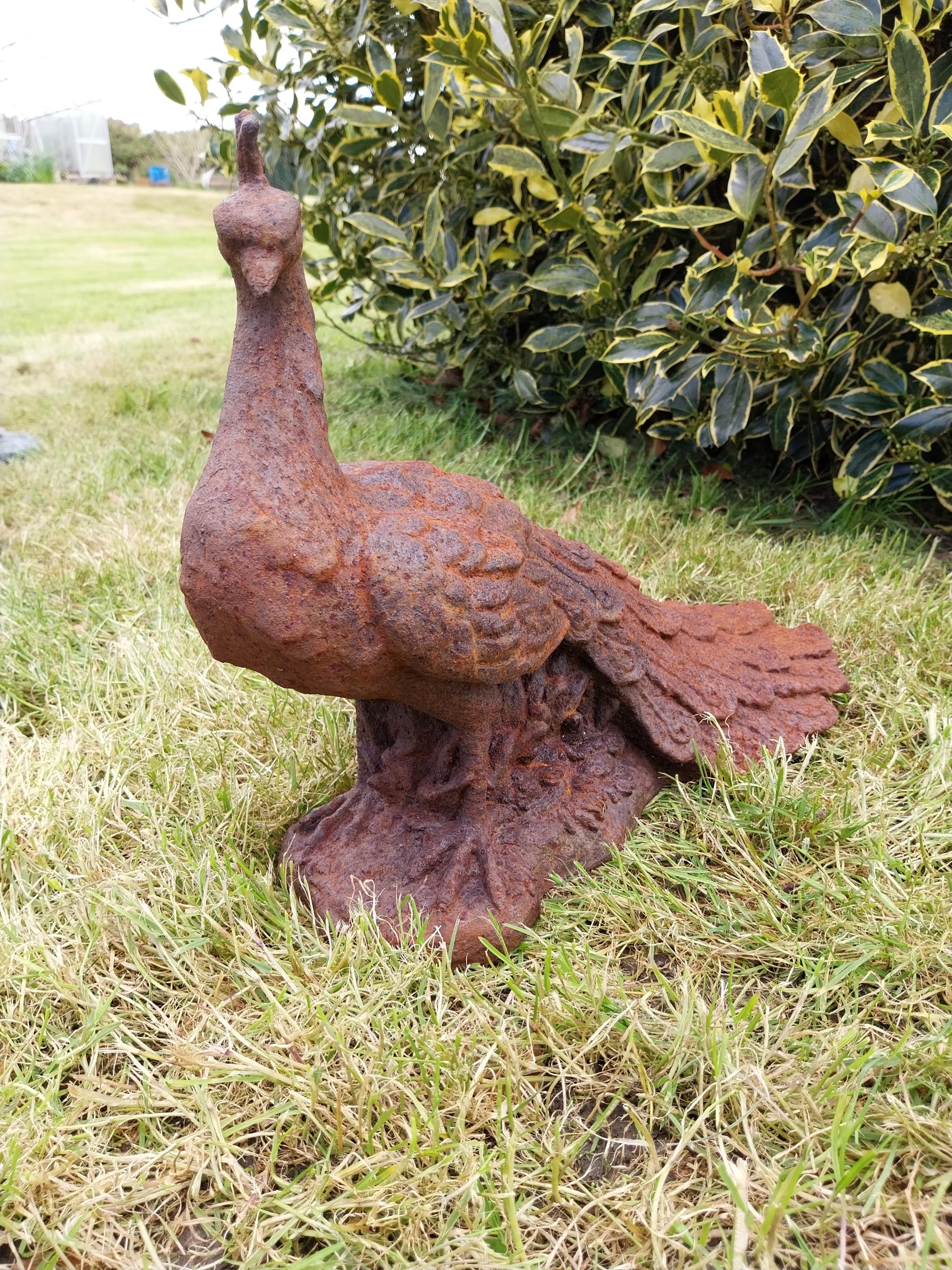 Pair of cast iron statuette of Peacocks {34 cm H x 21 cm W x 42 cm D}. - Bild 6 aus 6